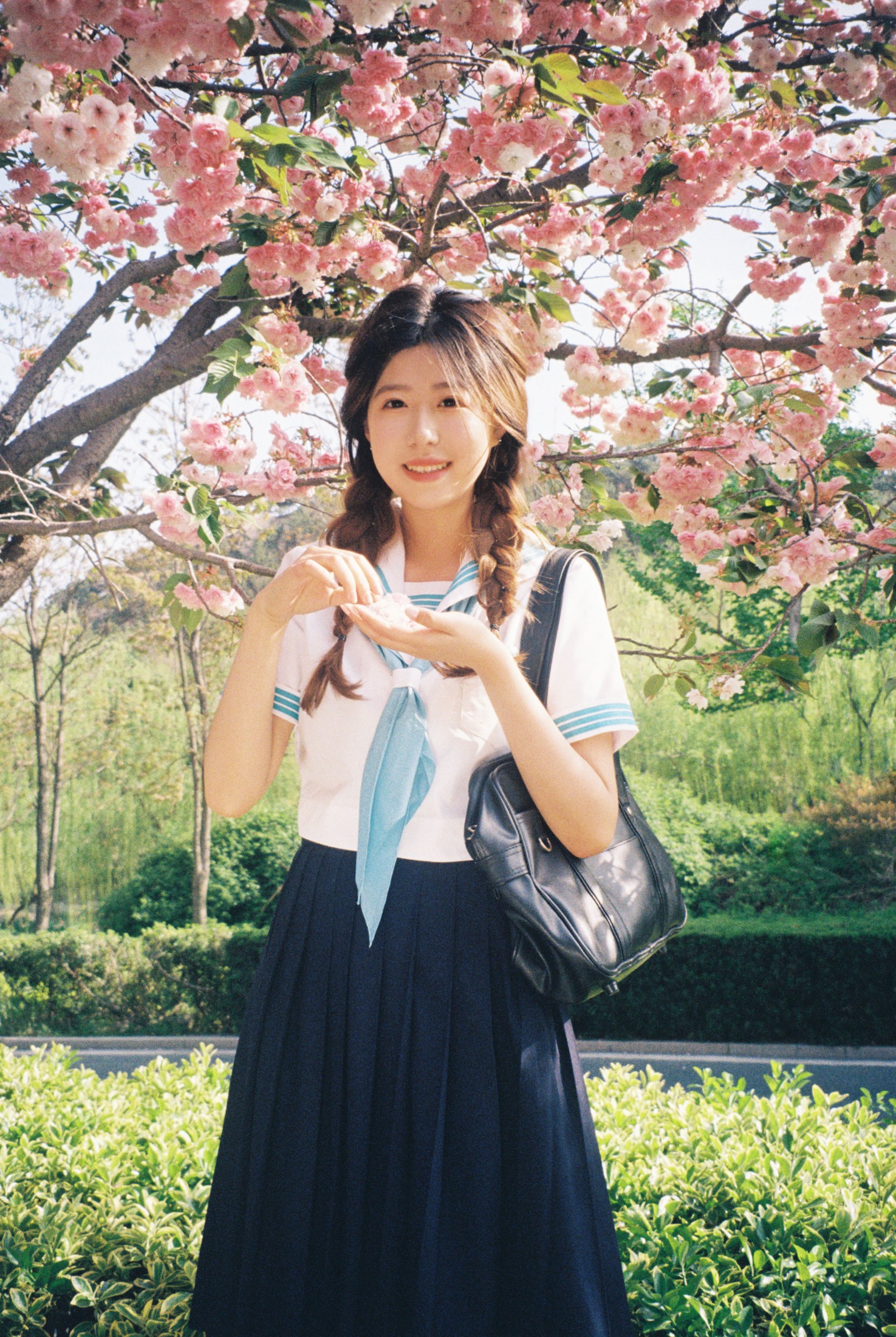 。 – 《樱花物语》[14P]