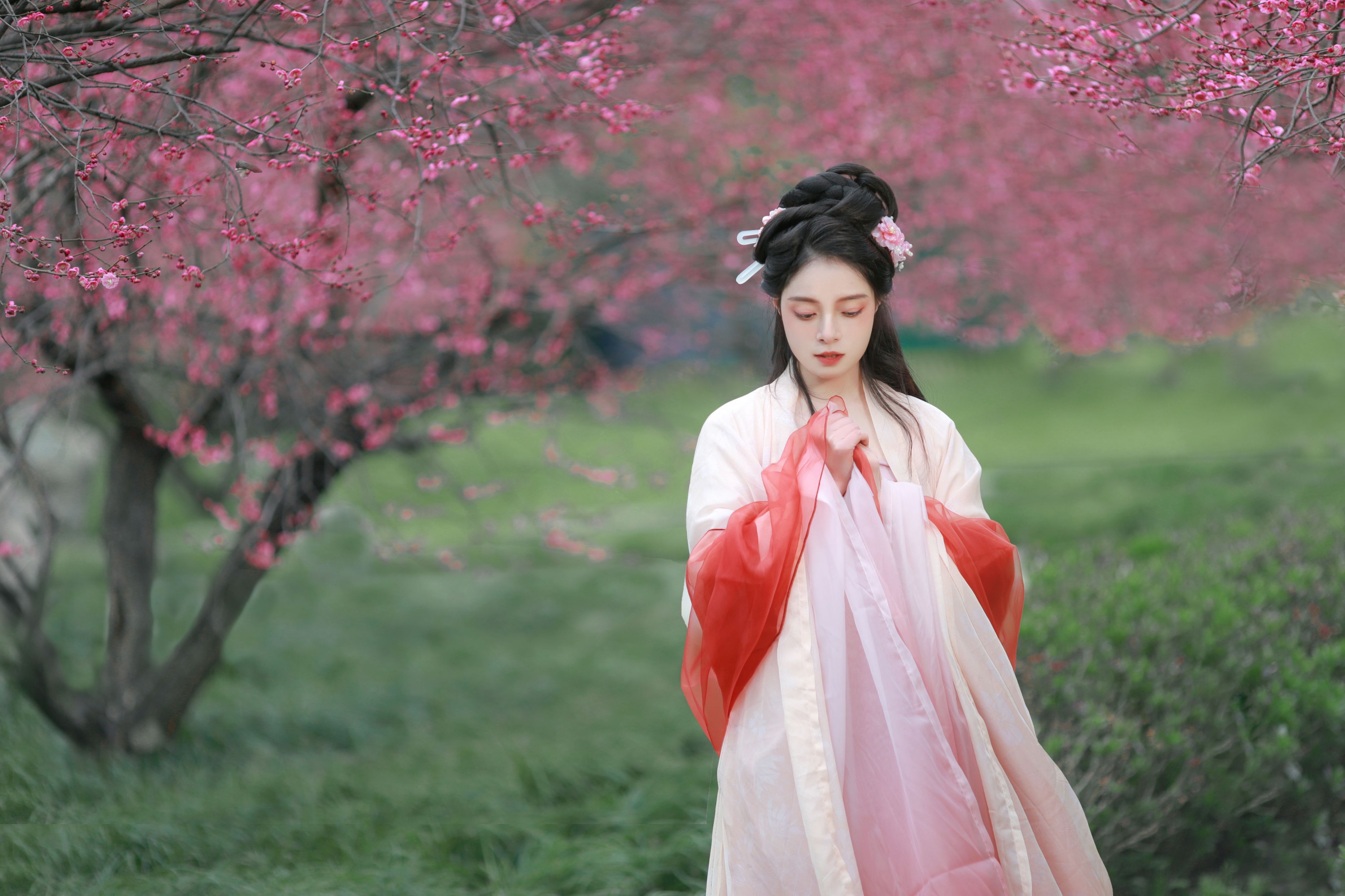 岁岁如意 – 《红梅》[14P]