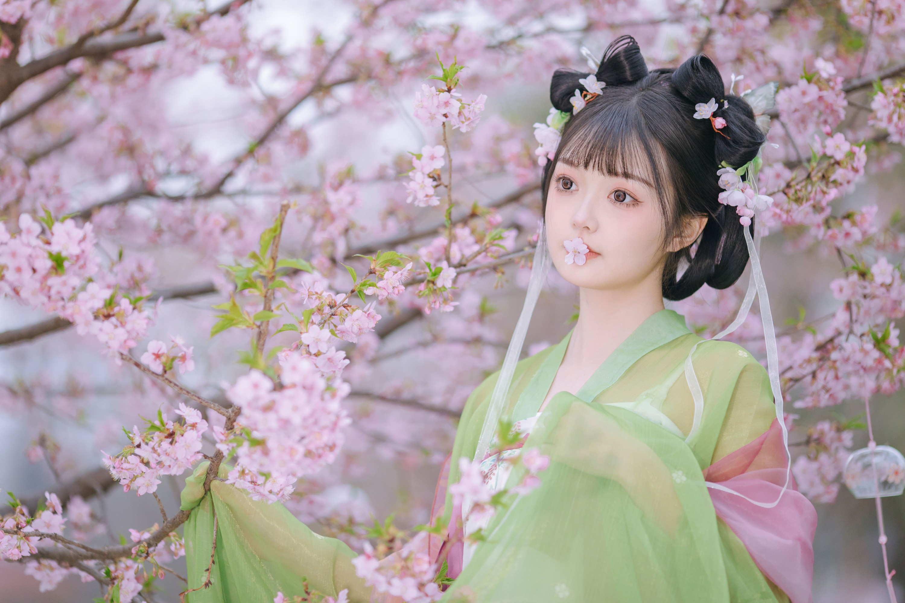 百狸 – 《春知晓》[18P]