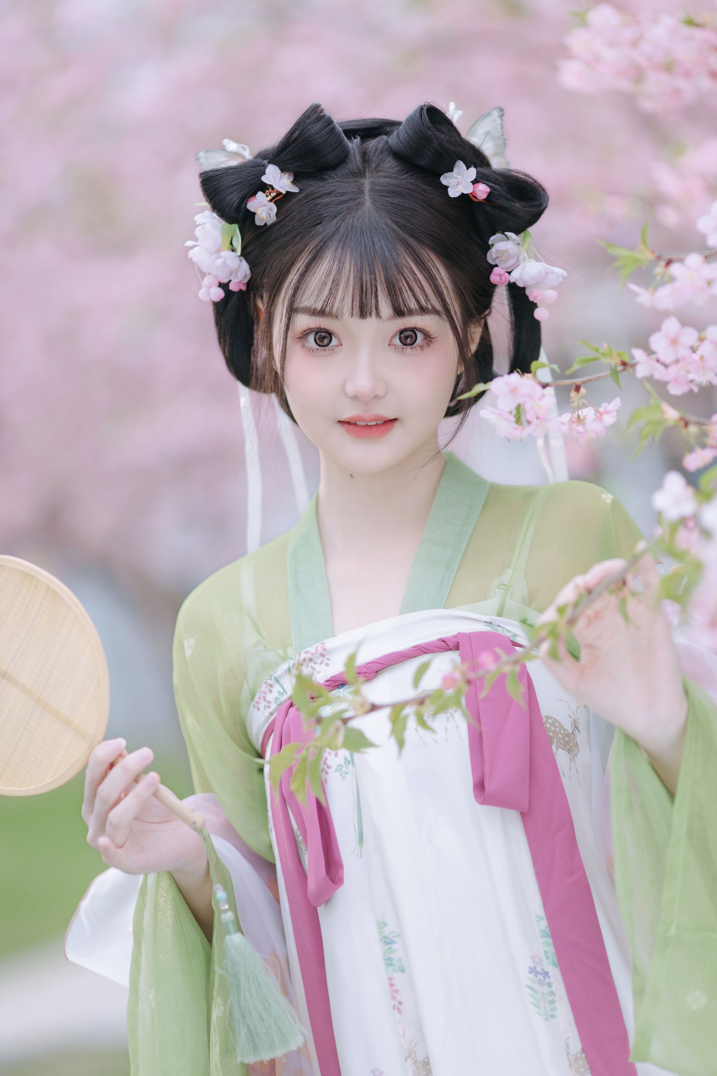 百狸 – 《春知晓》[18P]