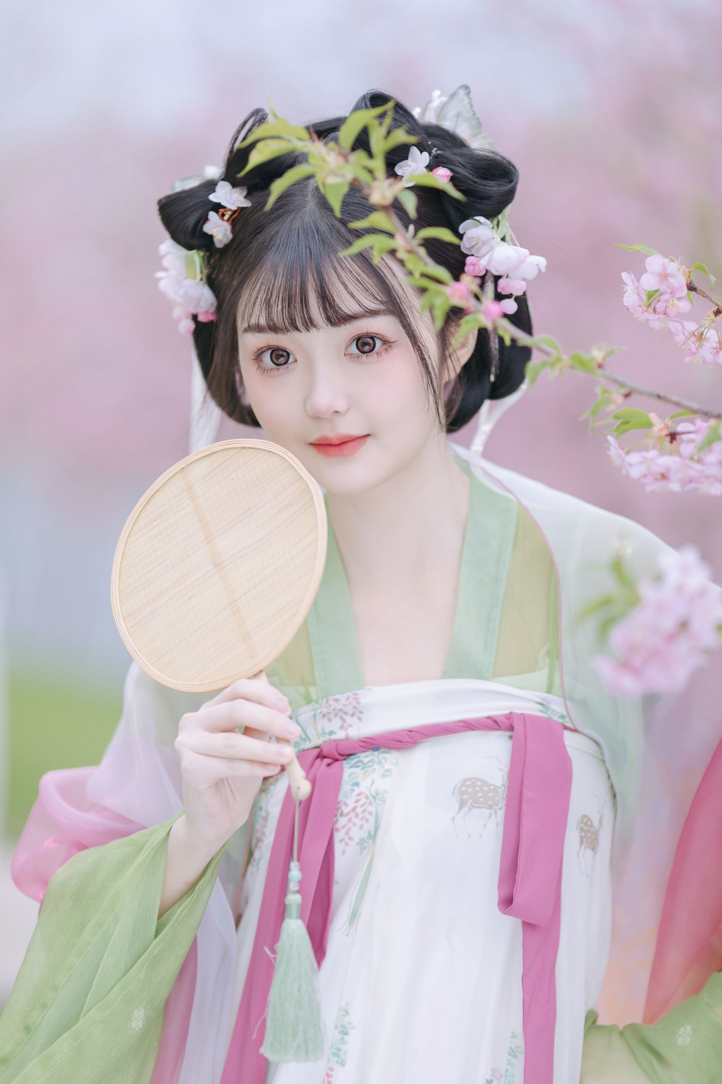 百狸 – 《春知晓》[18P]