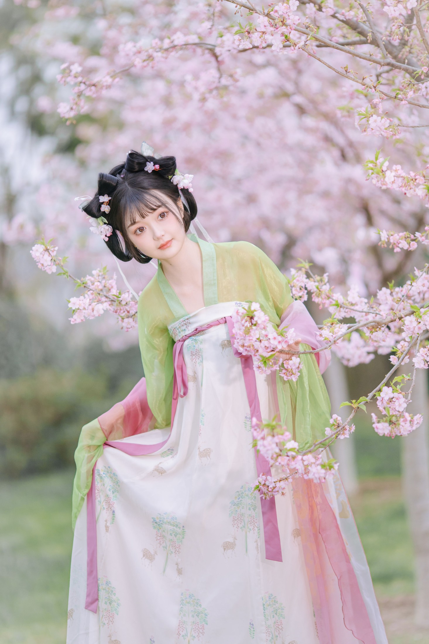 百狸 – 《春知晓》[18P]