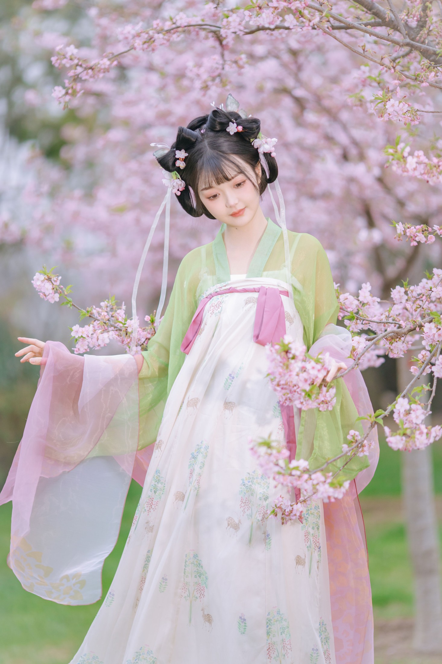 百狸 – 《春知晓》[18P]