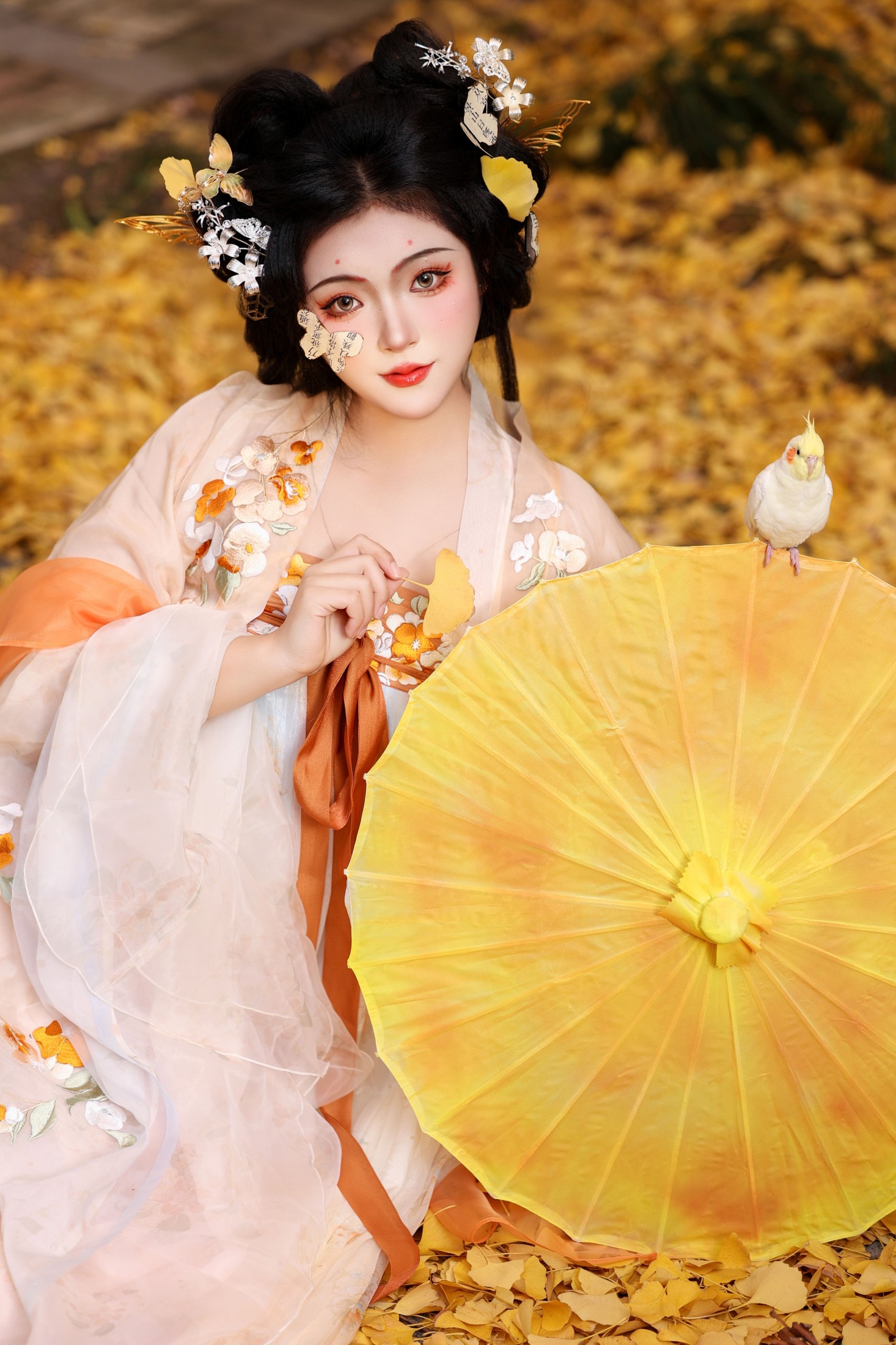 KaiLin酱 – 《锦灰堆》[46P]