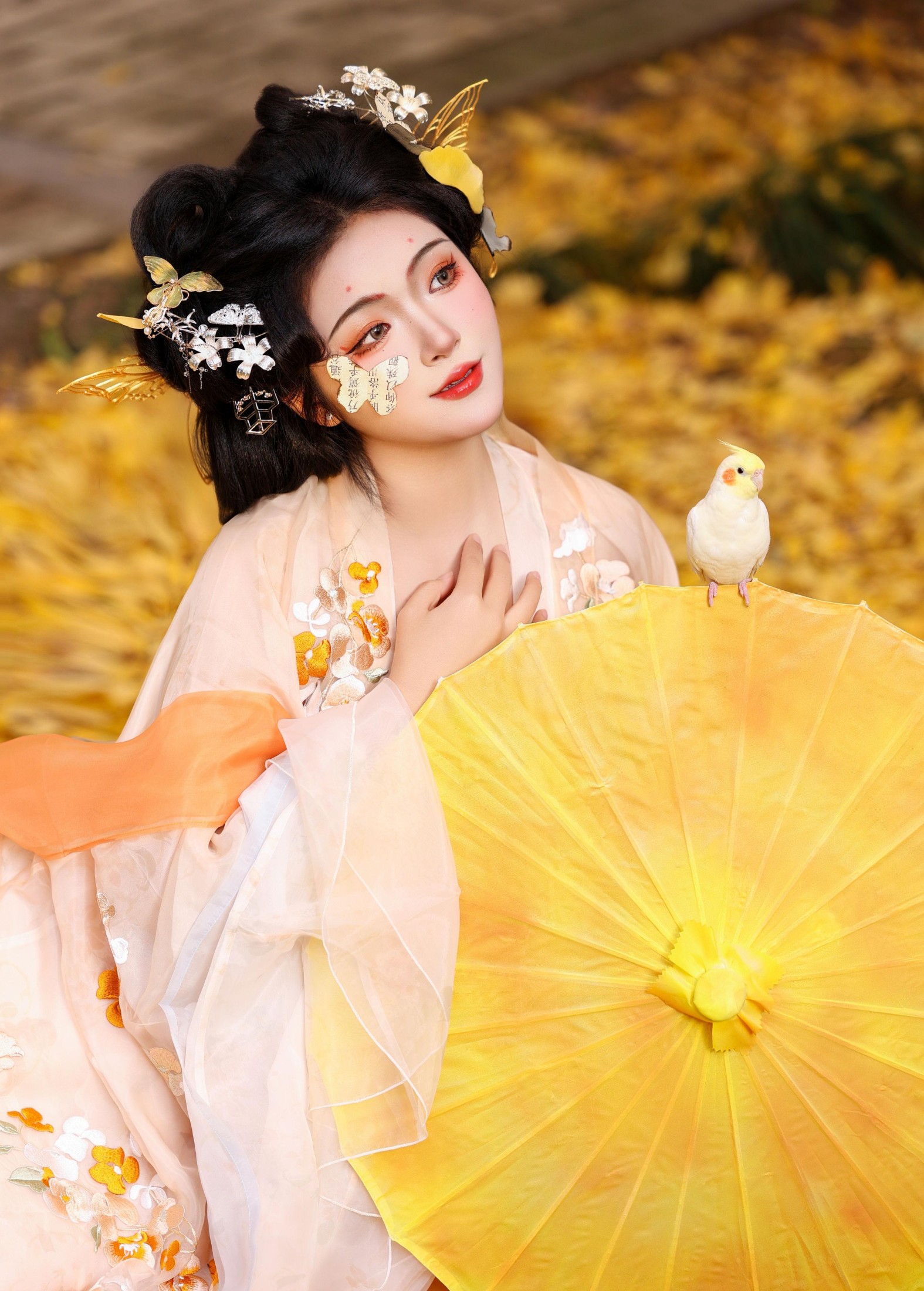 KaiLin酱 – 《锦灰堆》[46P]