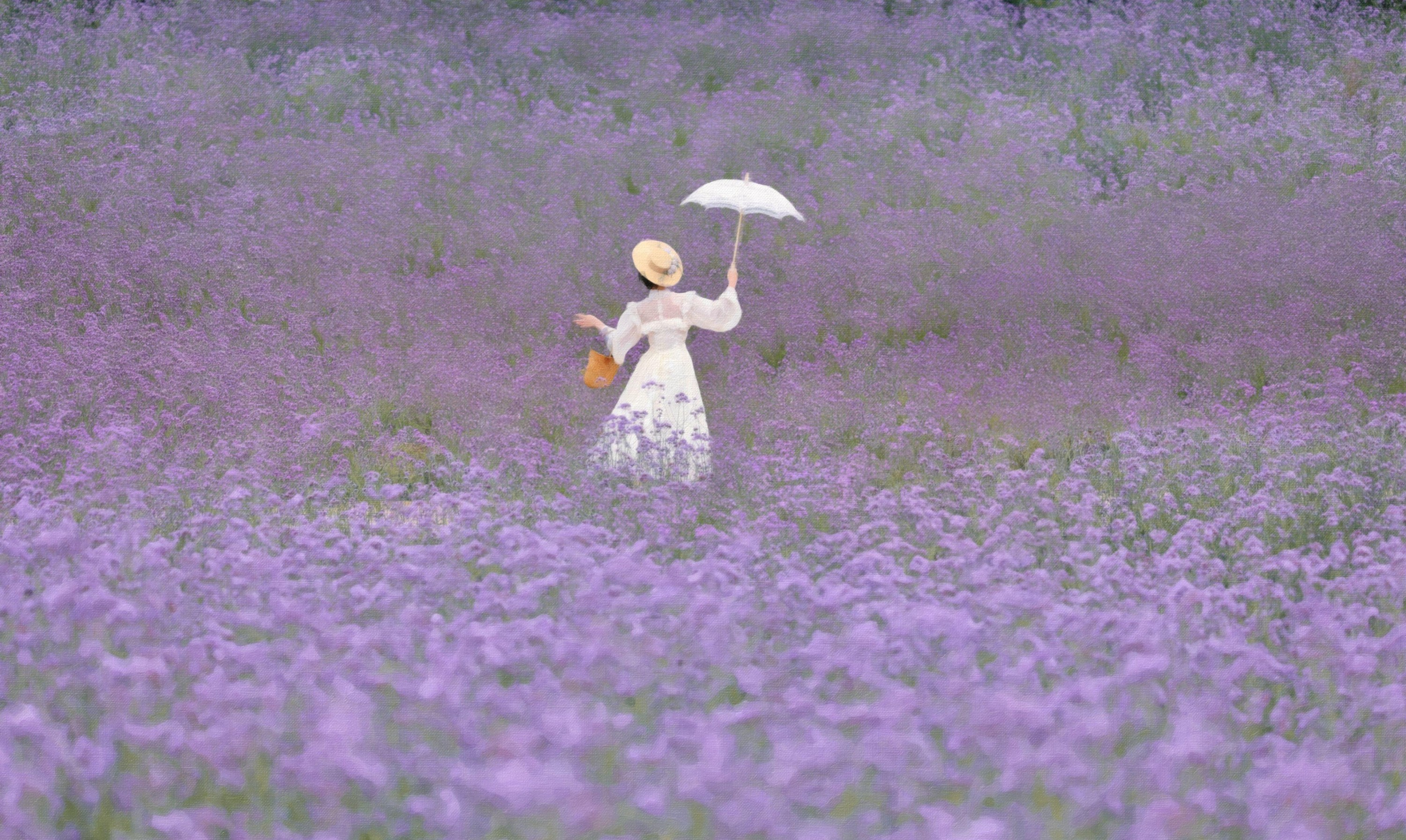 彦小彦摄影 – 《薰衣草的极致浪漫》[18P]