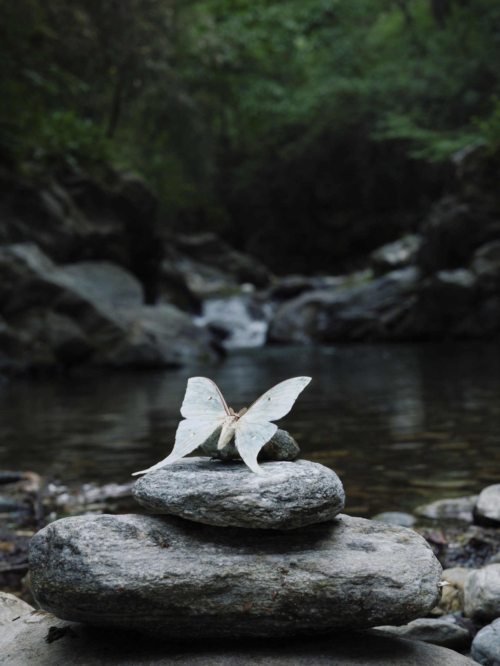 万元里美 – 《破茧》[13P]