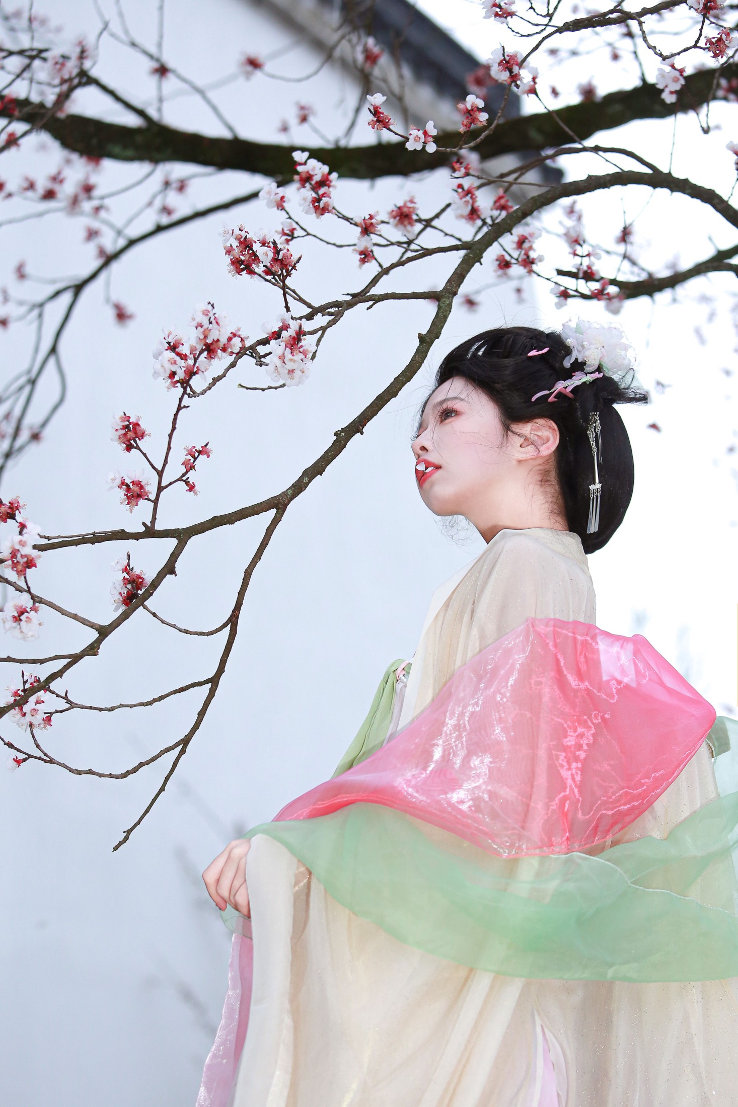 肥肥 – 《山茶花神》[13P]