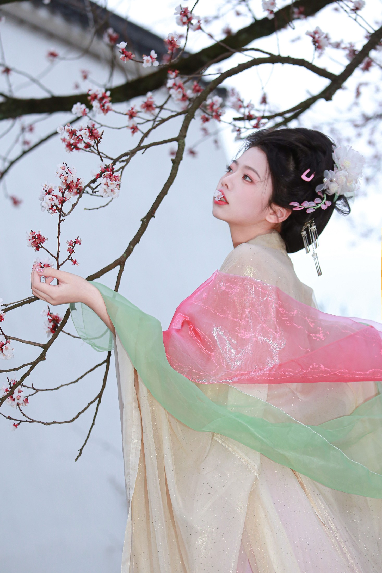 肥肥 – 《山茶花神》[13P]