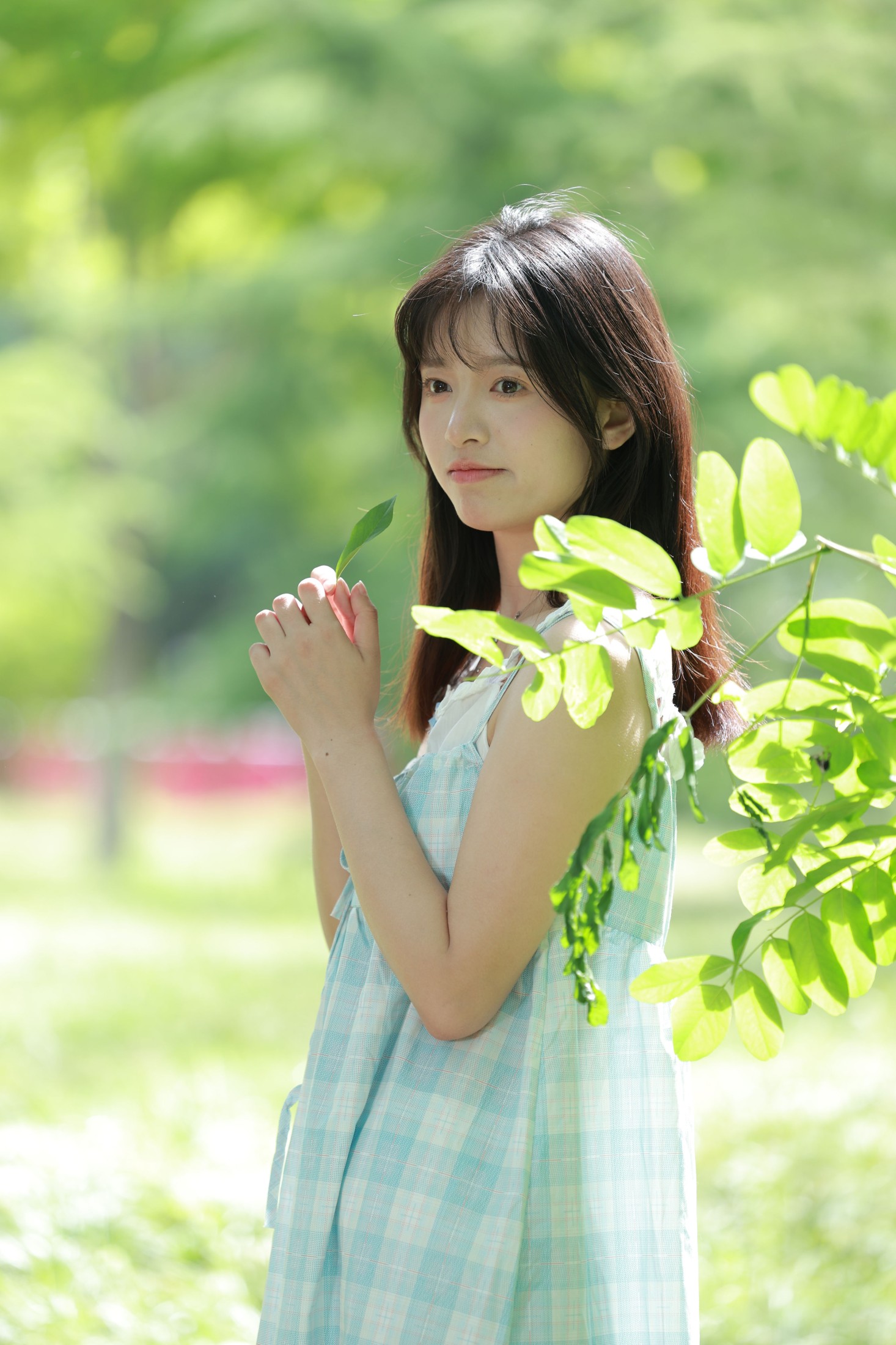 丸子 – 《夏日的清风》[18P]