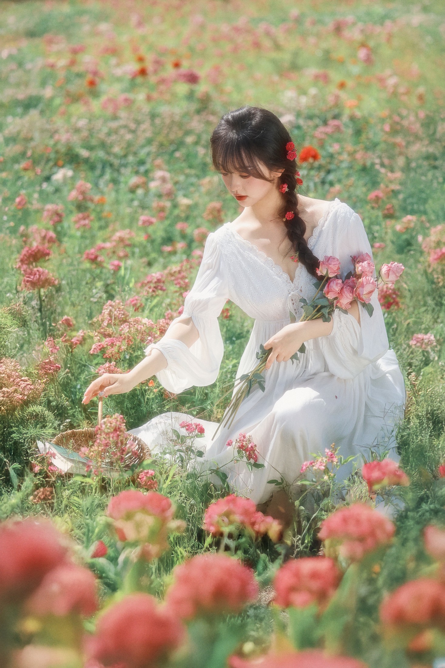 狮子 – 《误入爱丽丝的后花园》[33P]