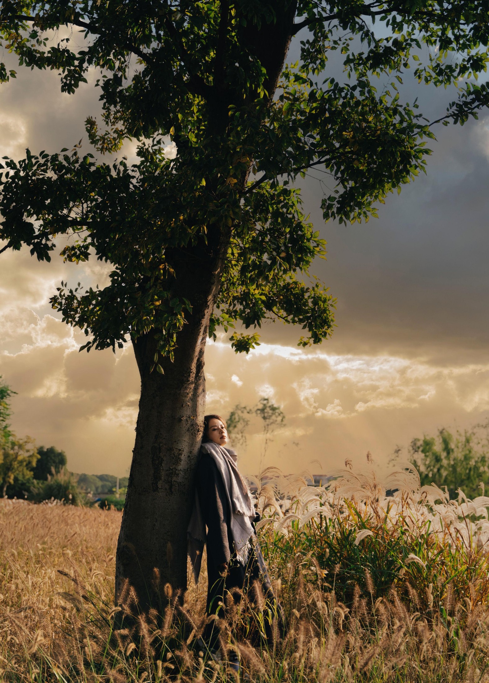 竹官 – 《秋日芦苇荡电影感写真》[13P] 插图2