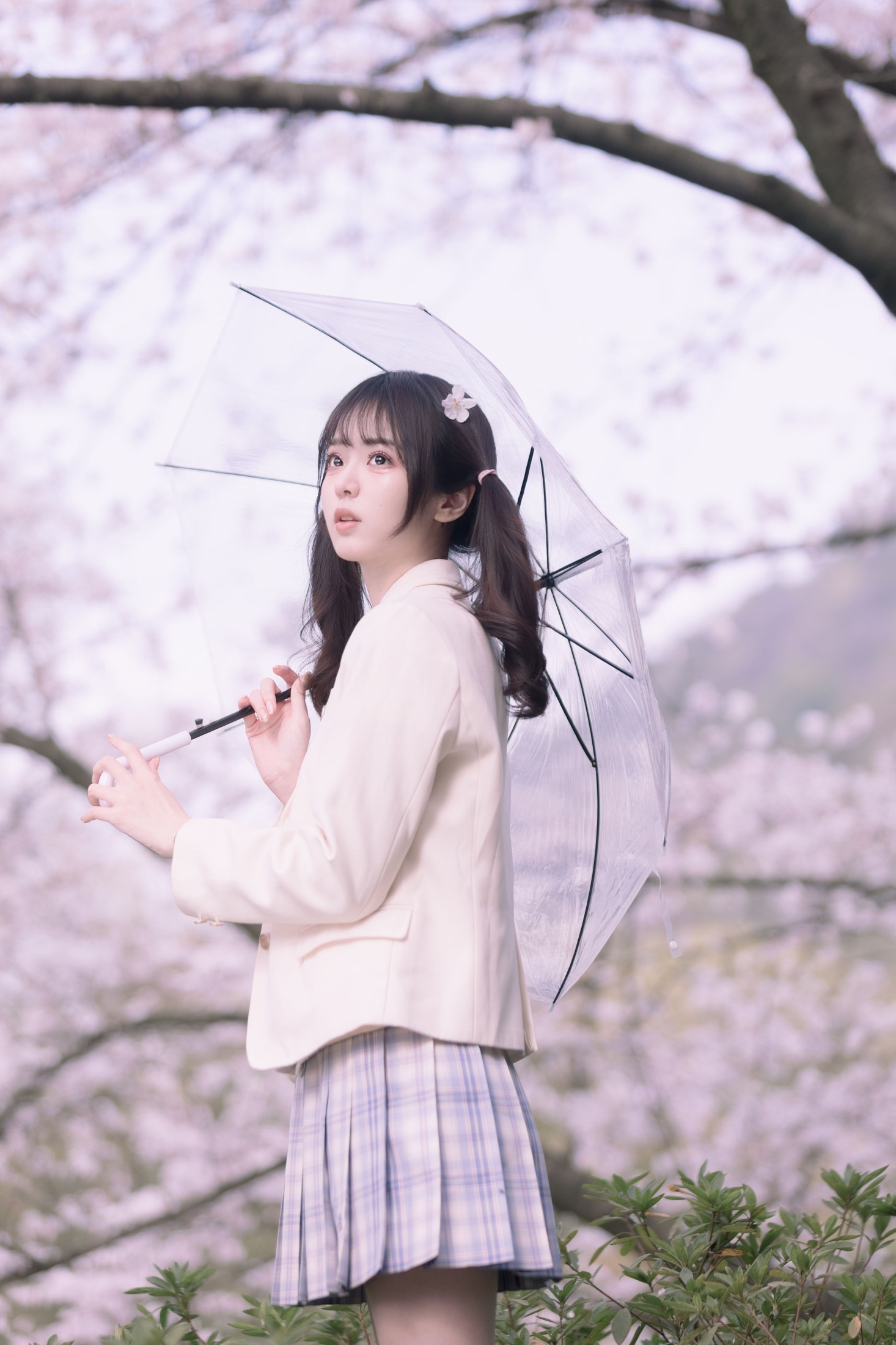 刺青师豆芽 – 《樱花树下的少女》[24P]