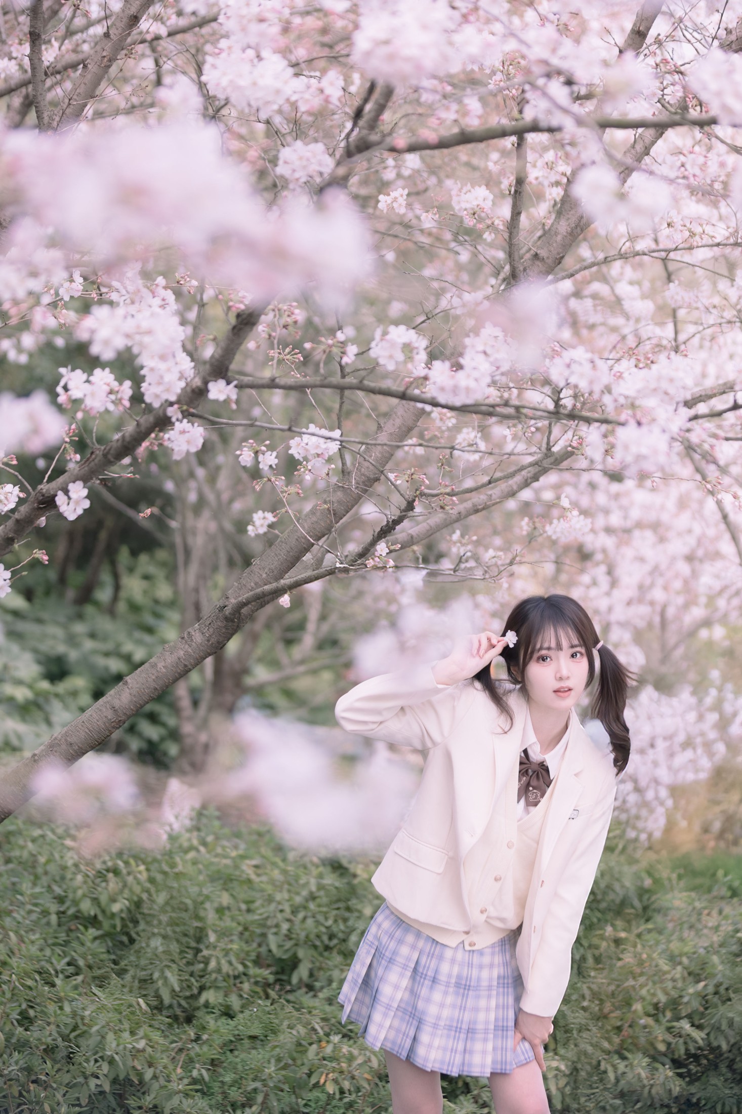 刺青师豆芽 – 《樱花树下的少女》[24P]