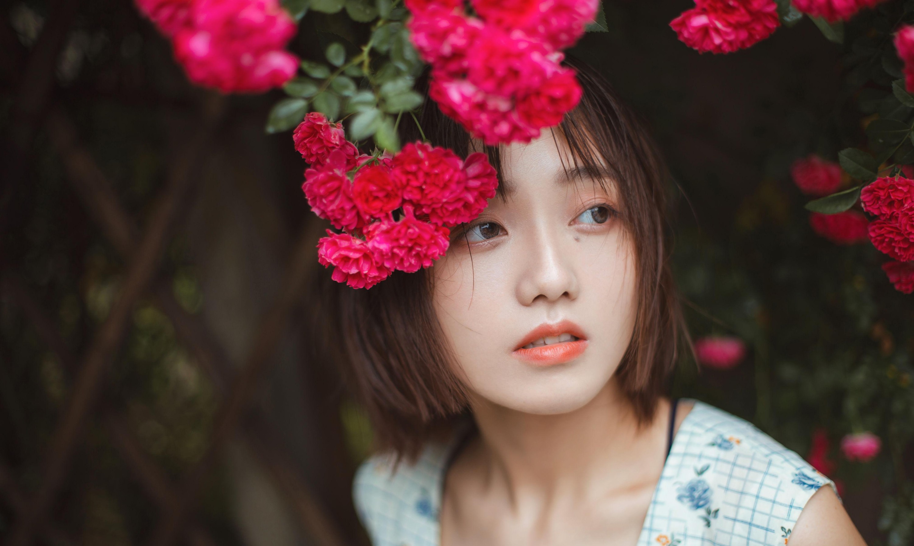 echo – 《青雉》[18P]