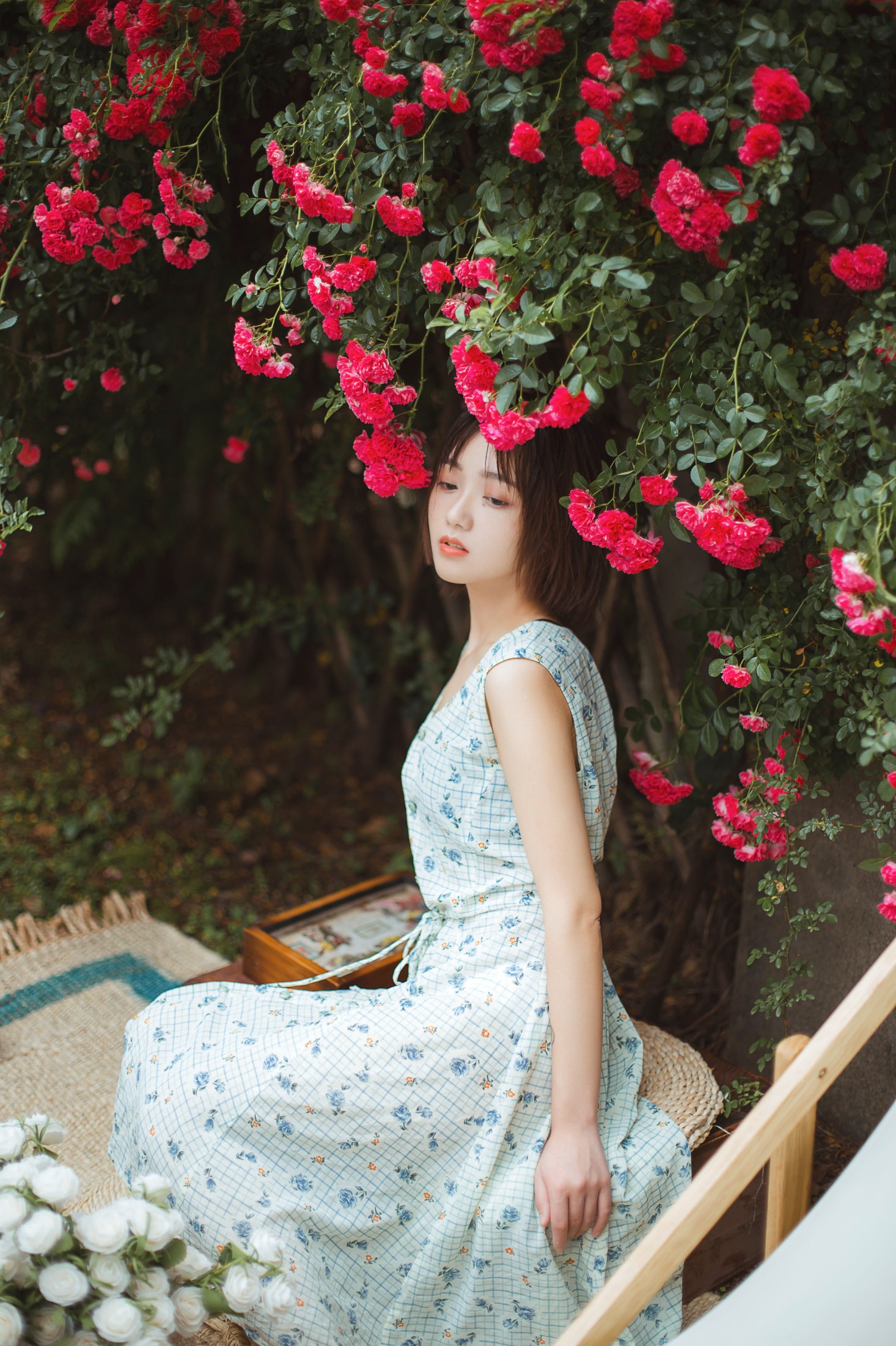 echo – 《青雉》[18P]