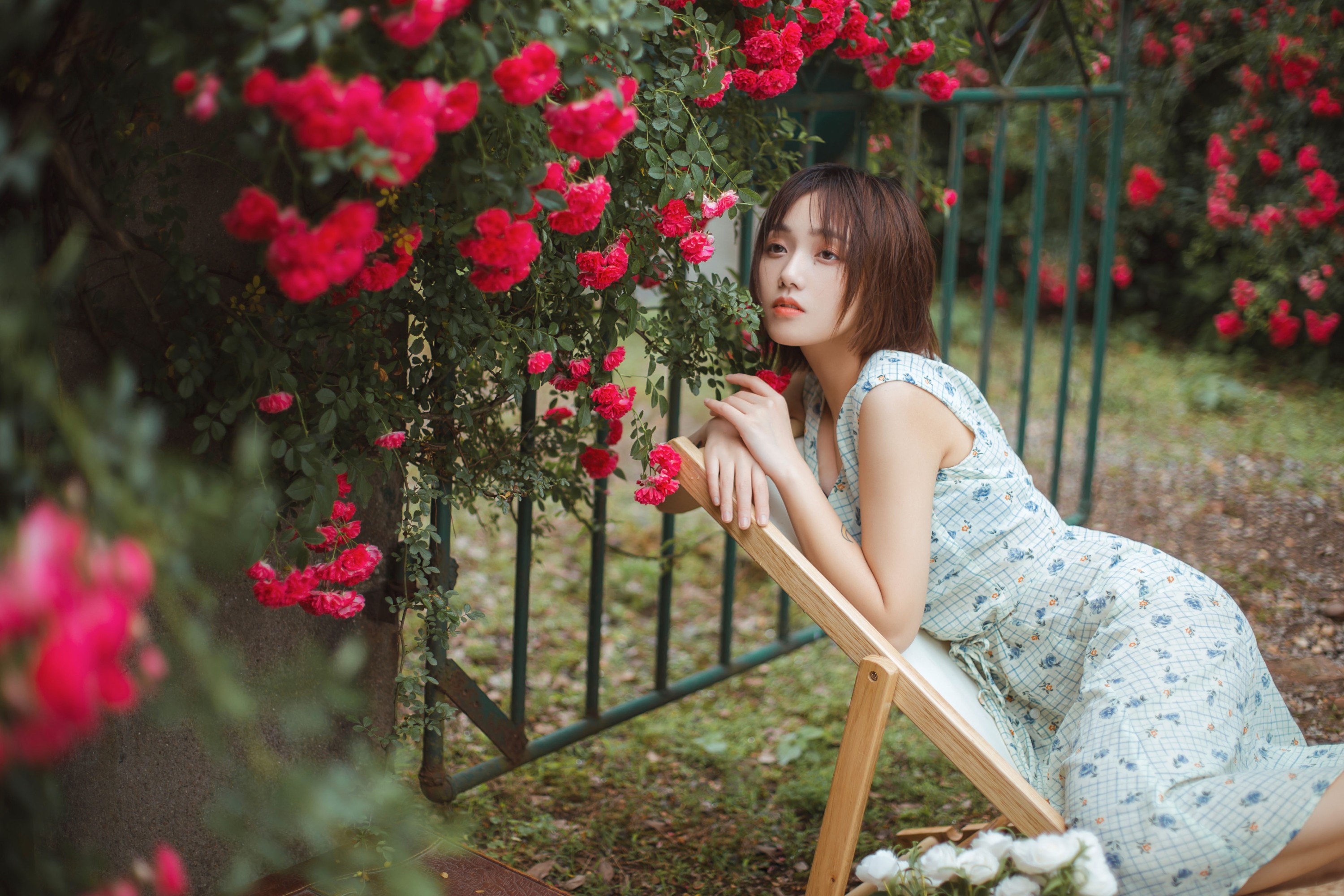 echo – 《青雉》[18P]