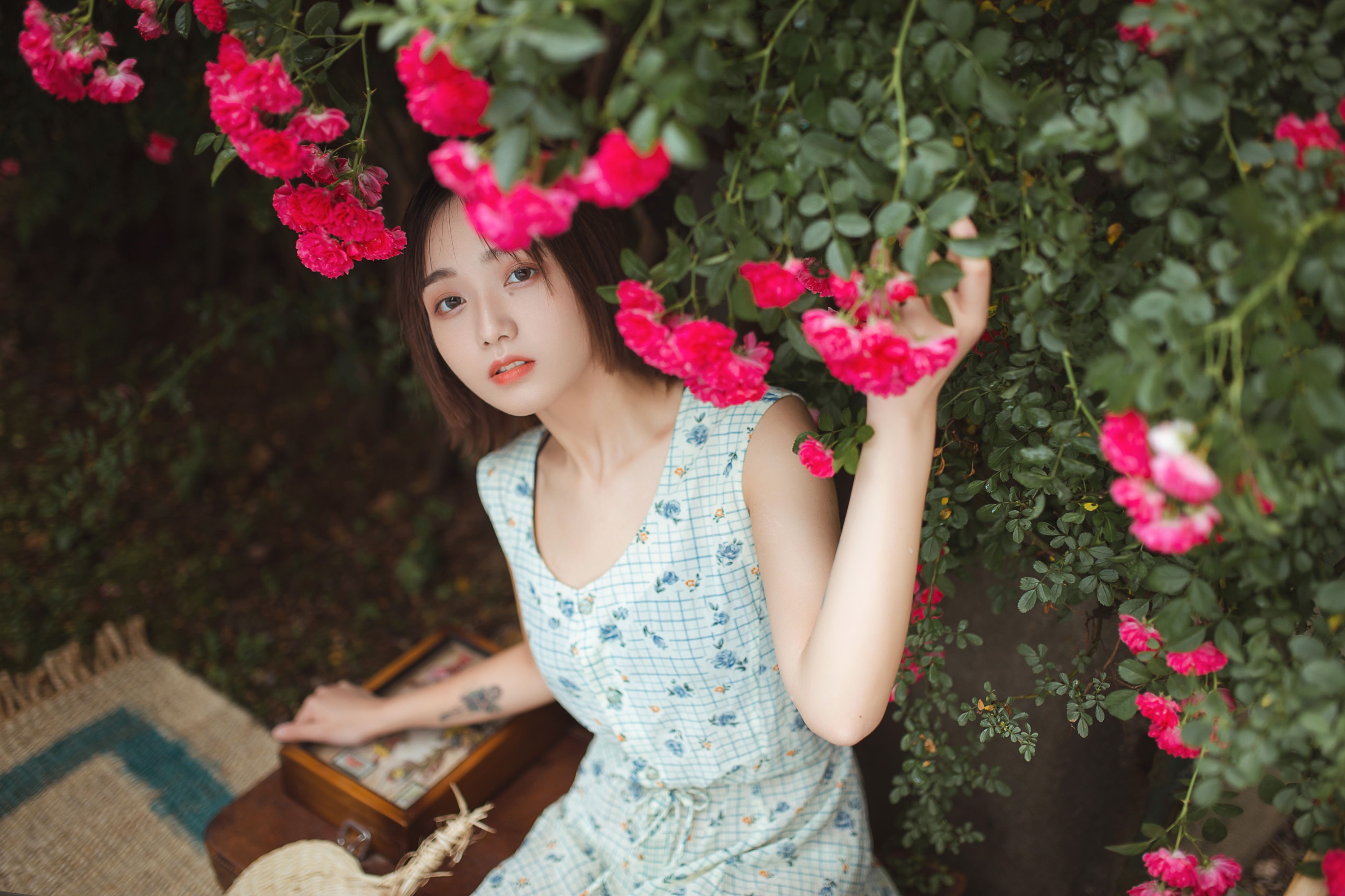 echo – 《青雉》[18P]