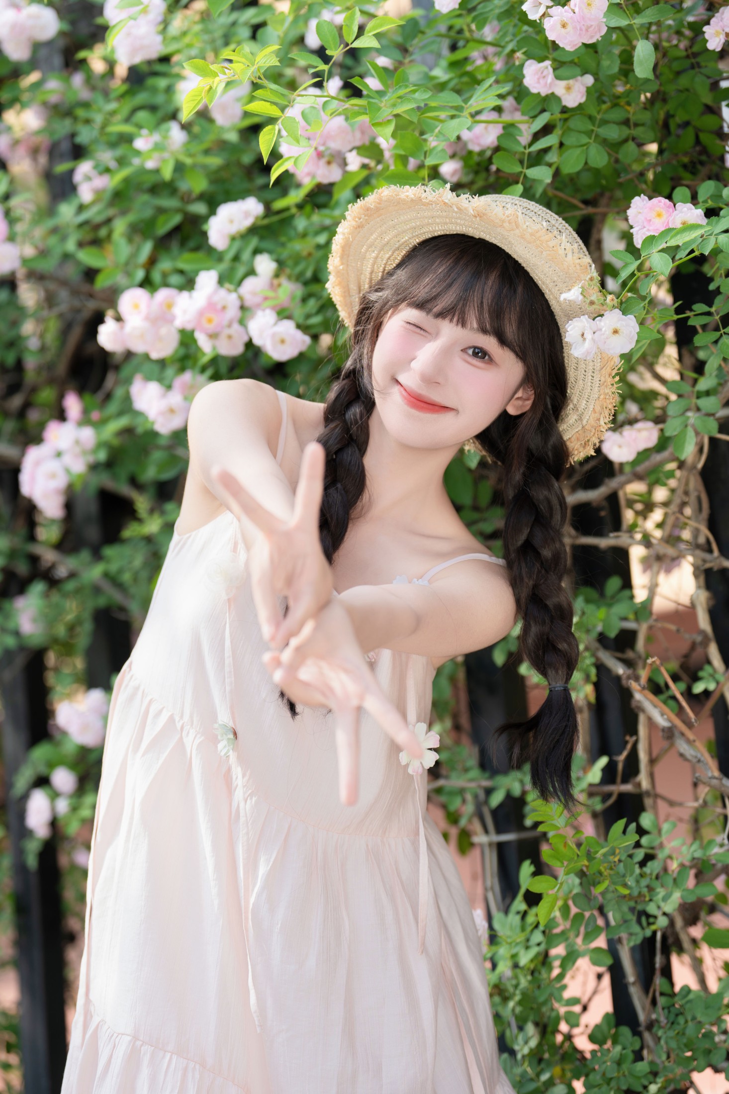 夏芋小年 – 《粉色蔷薇》[24P]