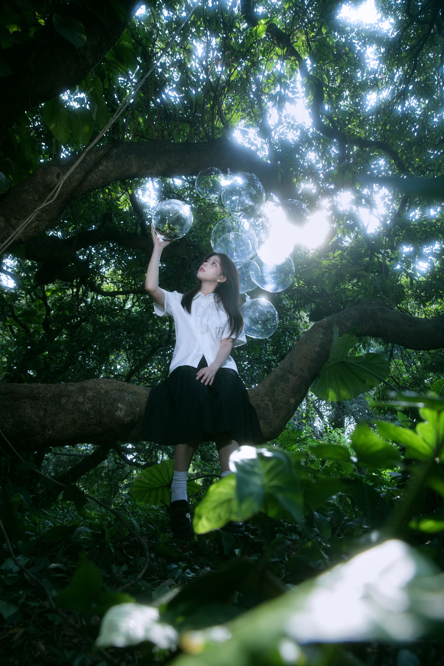 Cookie_ – 《绿野仙踪》[15P]