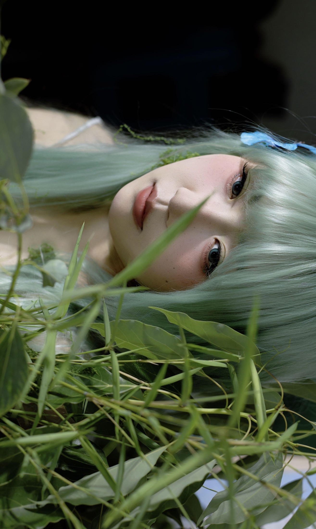 躲进鲨鱼嘴里 – 《我的身体长满苔藓，跌落在潮湿的绿意里》[14P]