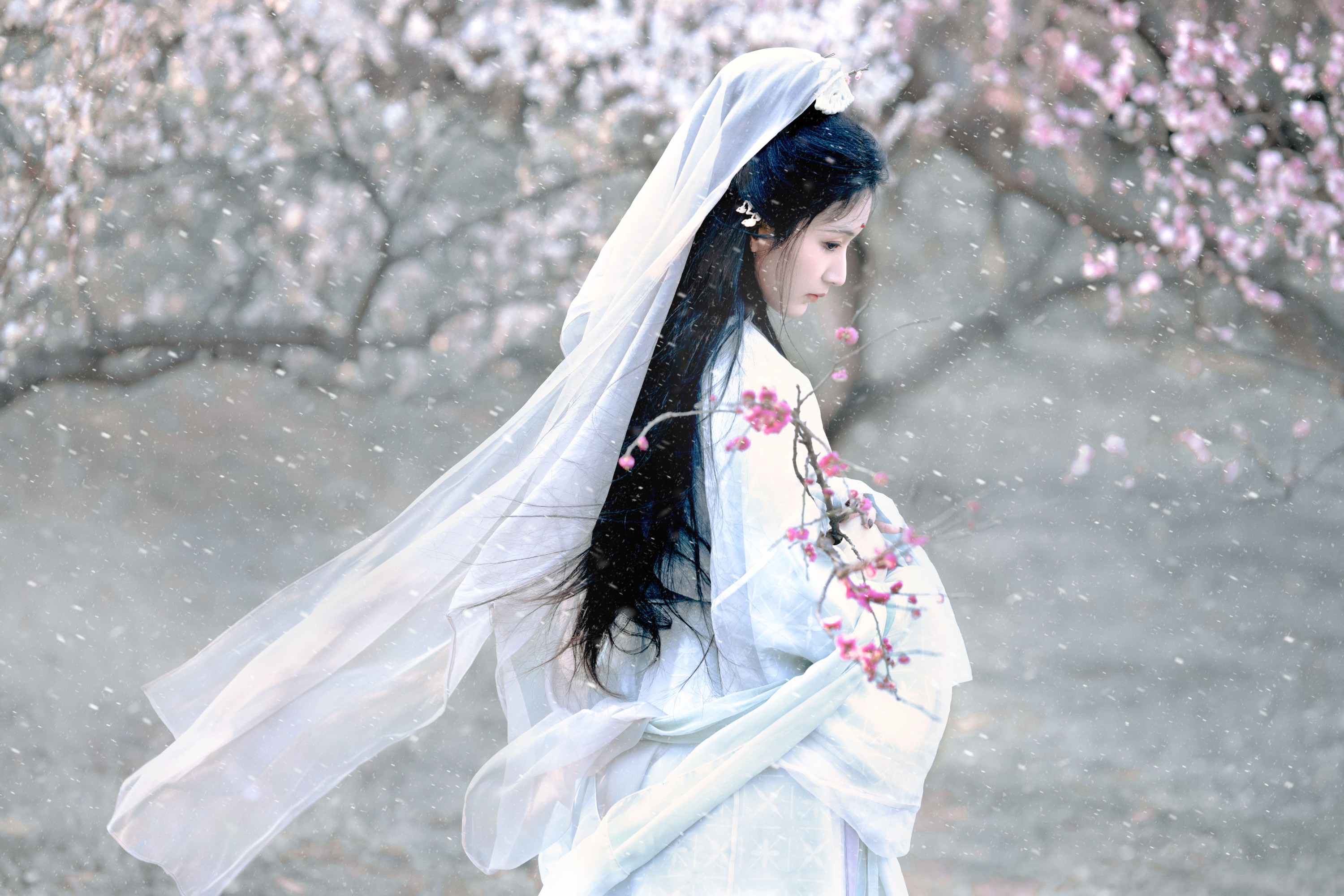 荷里寒 – 《琉璃世界，白雪红梅》[14P]