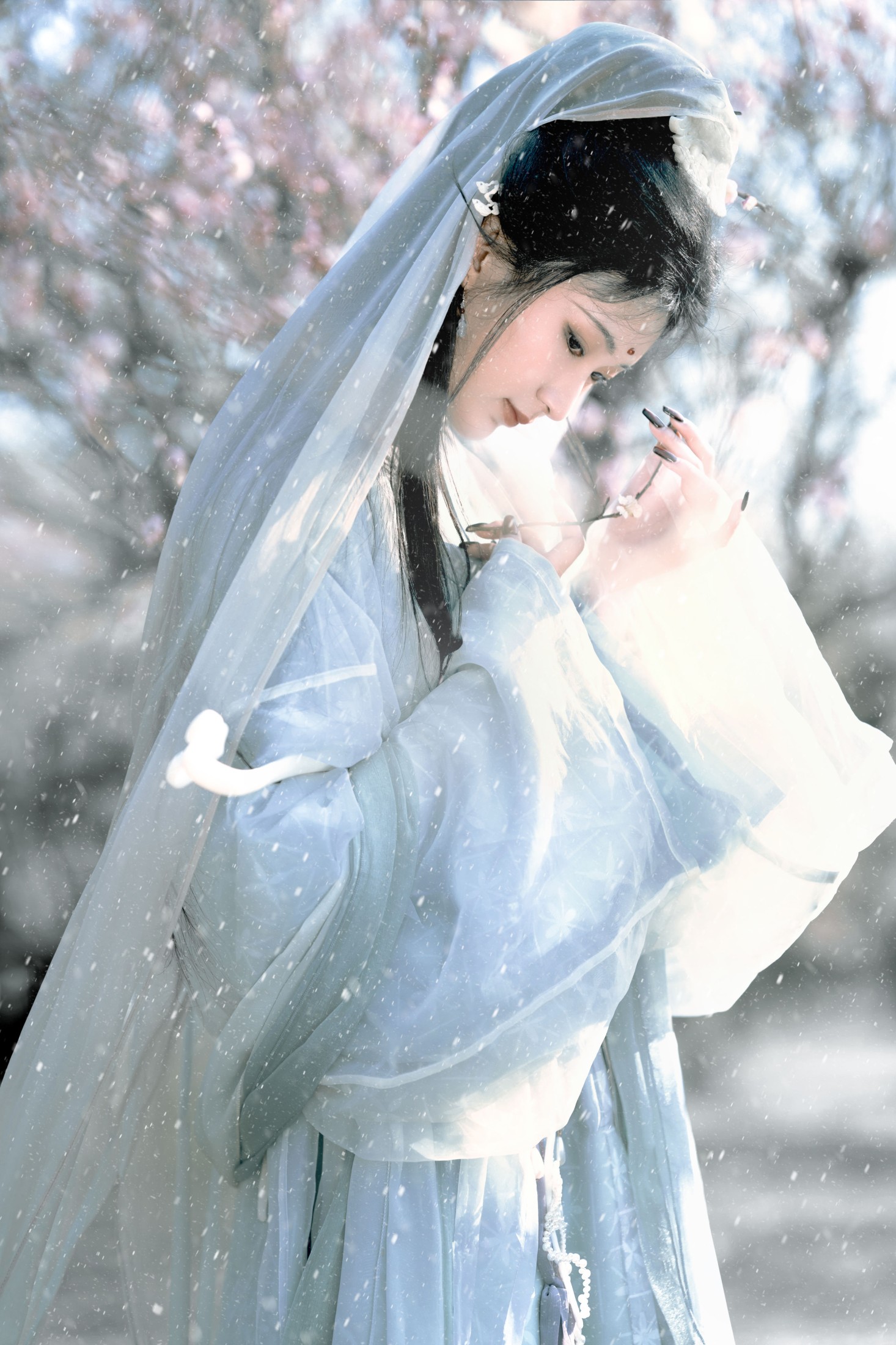 荷里寒 – 《琉璃世界，白雪红梅》[14P]