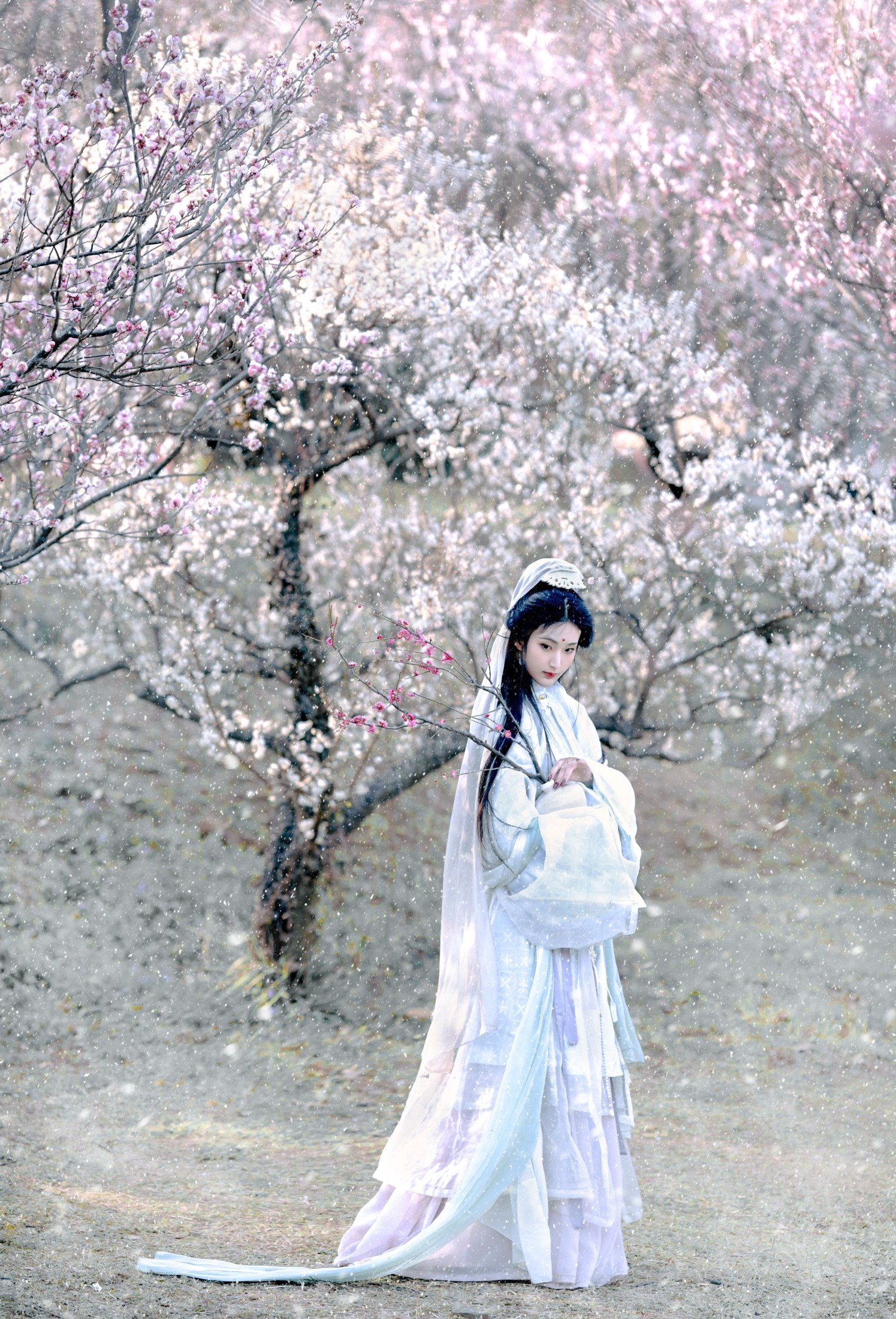 荷里寒 – 《琉璃世界，白雪红梅》[14P]