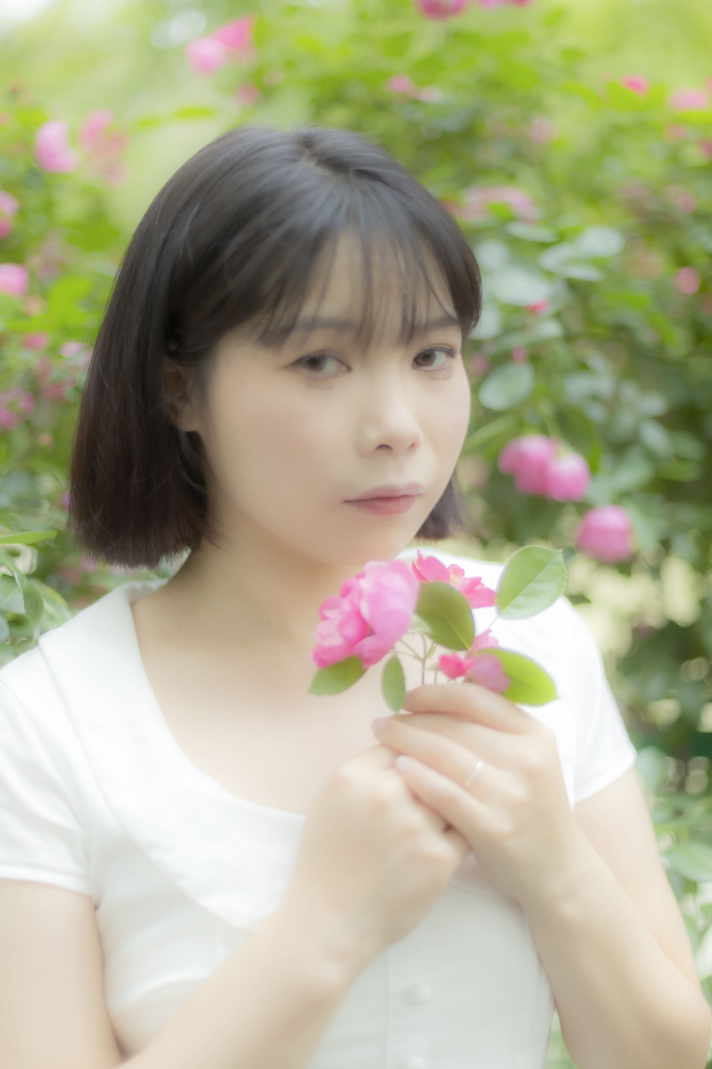 Y～ – 《蔷薇花女孩》[21P]