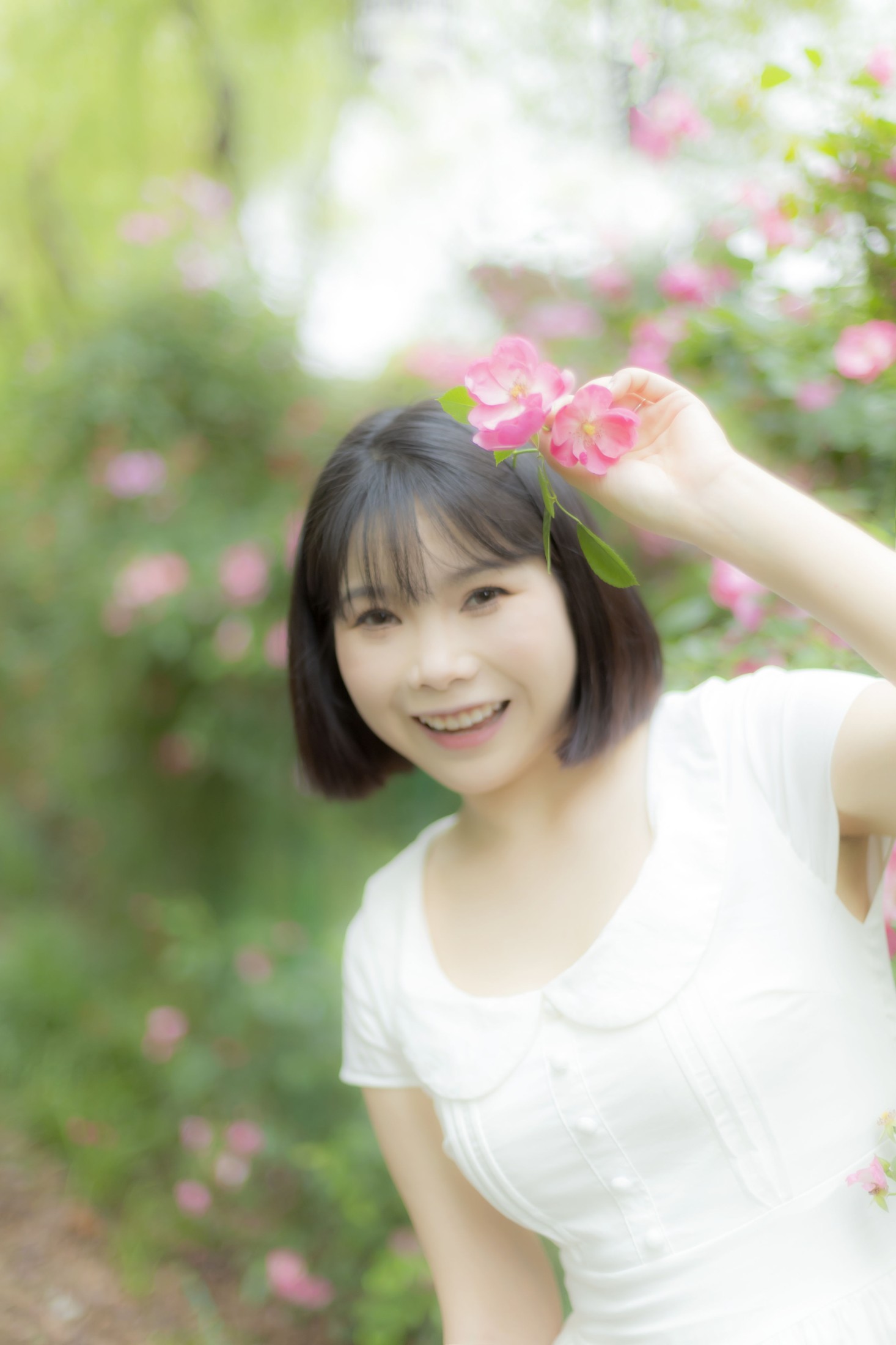 Y～ – 《蔷薇花女孩》[21P]