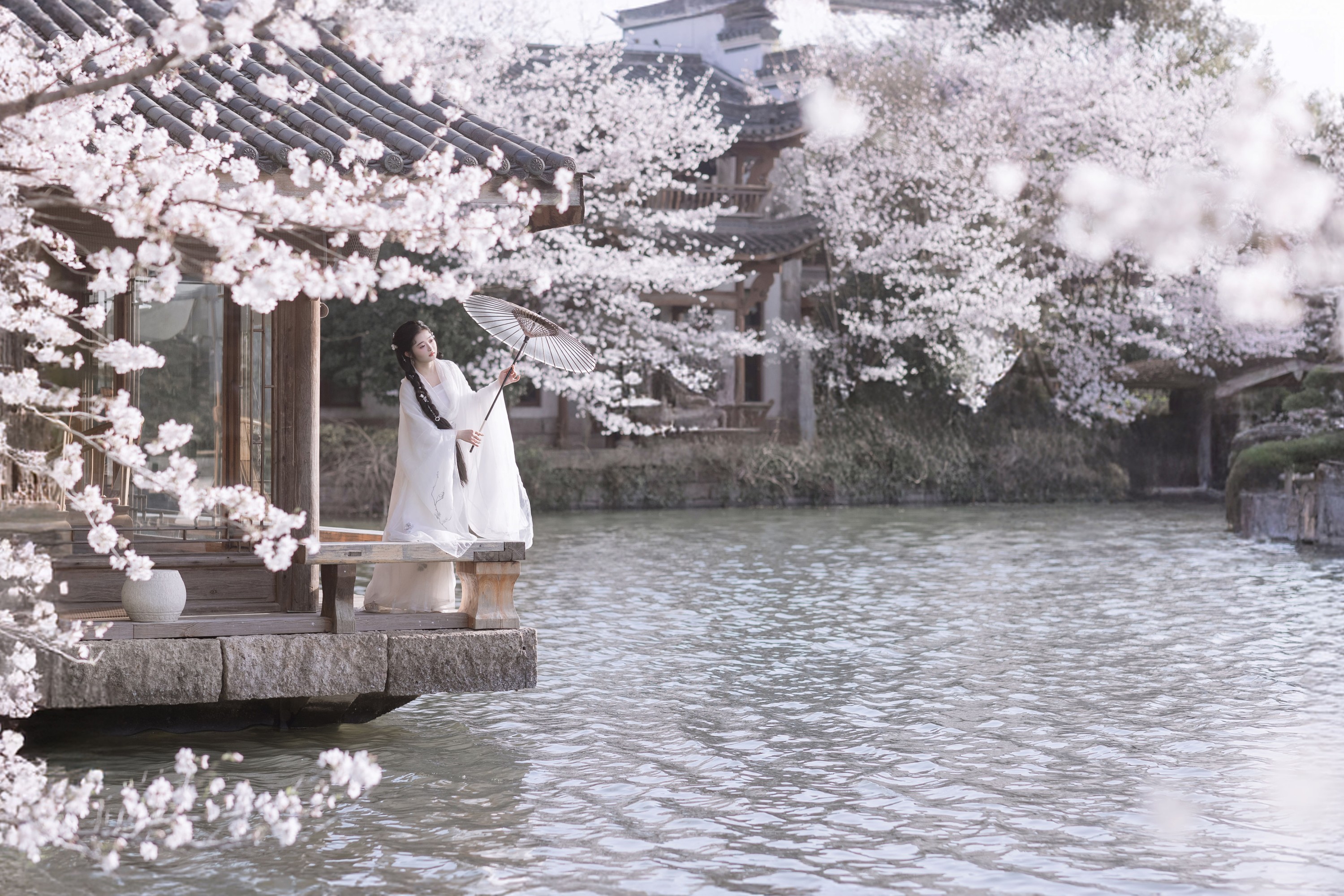 比奇堡最漂亮的女人 – 《故园赏樱》[30P]