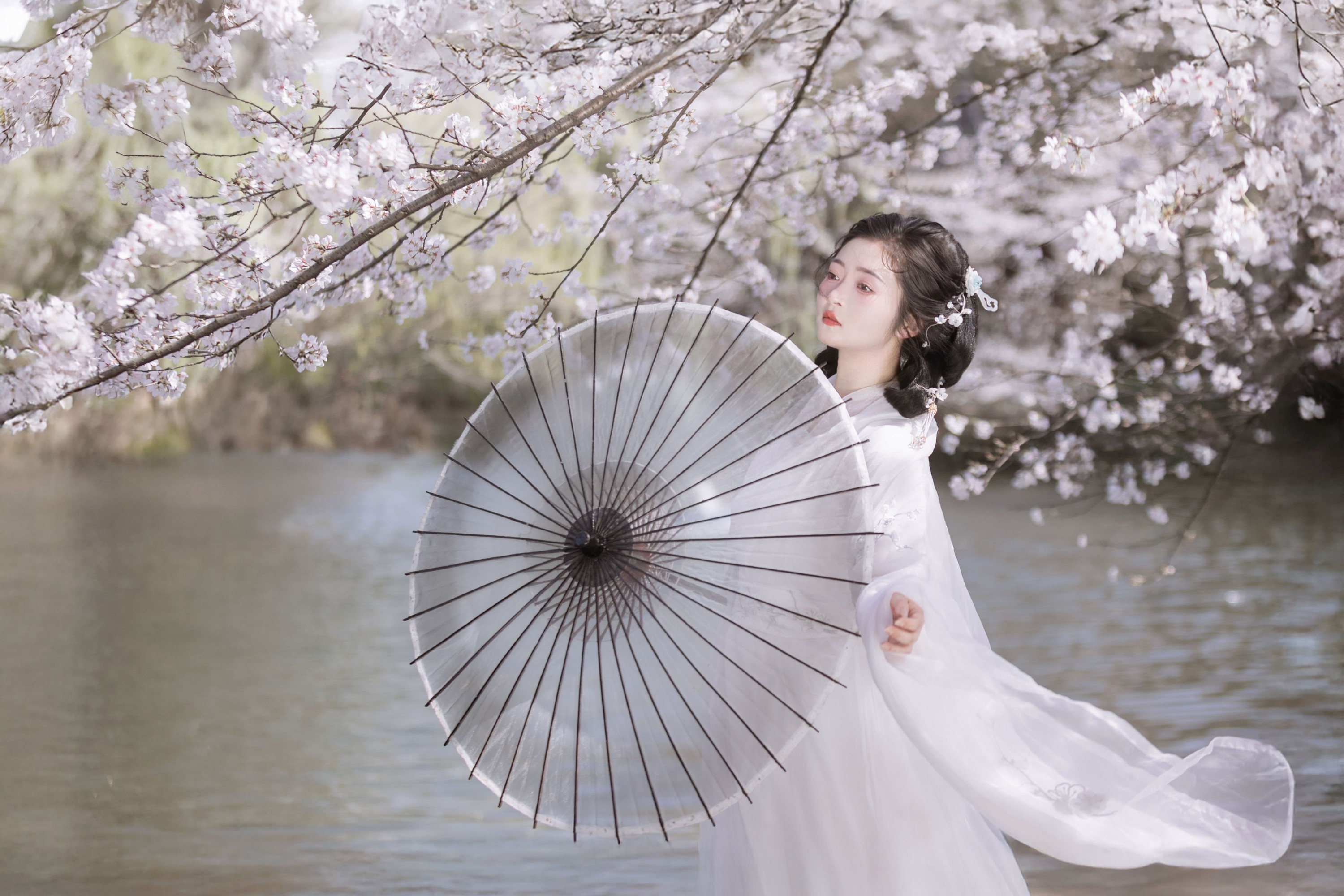 比奇堡最漂亮的女人 – 《故园赏樱》[30P]