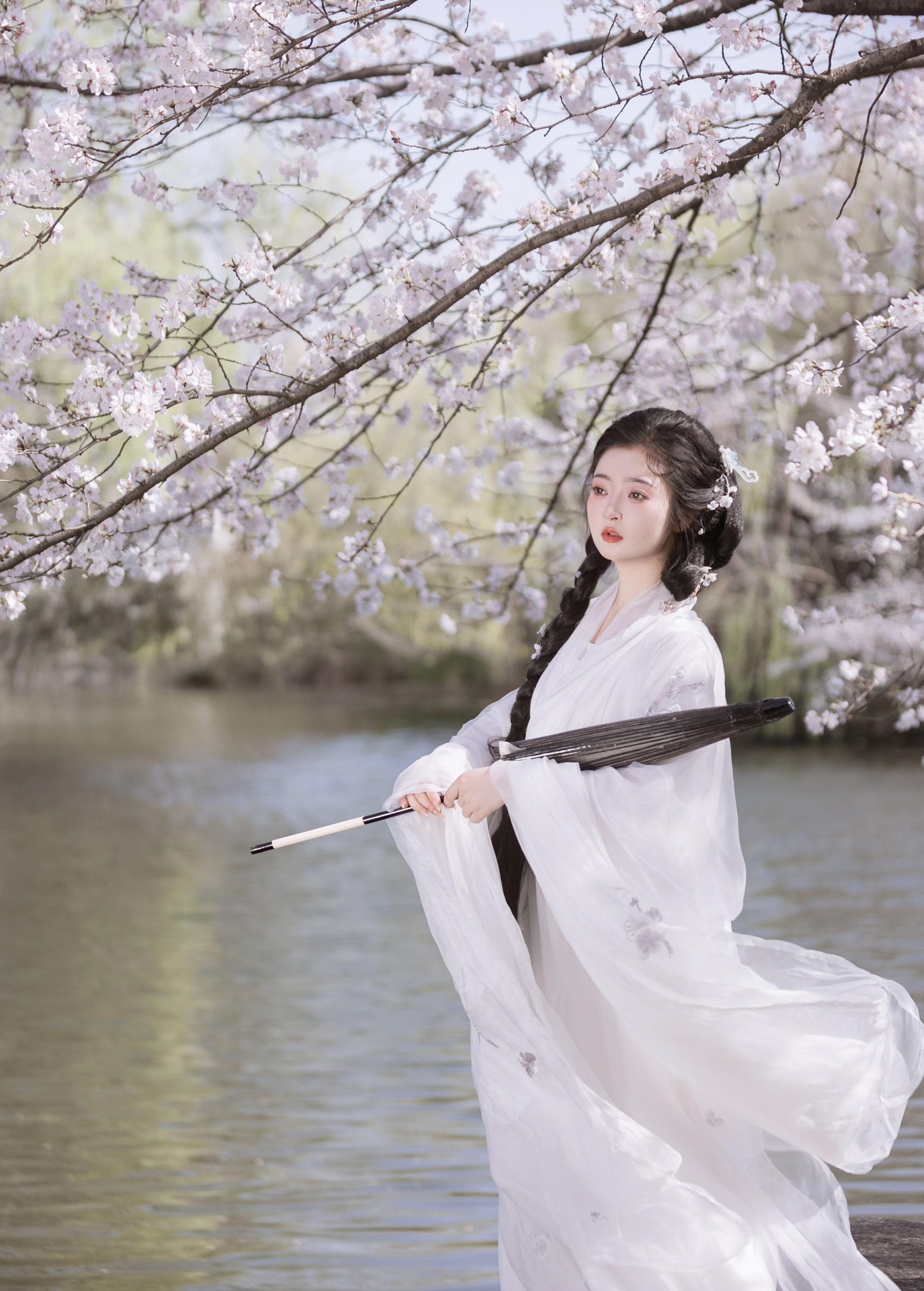 比奇堡最漂亮的女人 – 《故园赏樱》[30P]