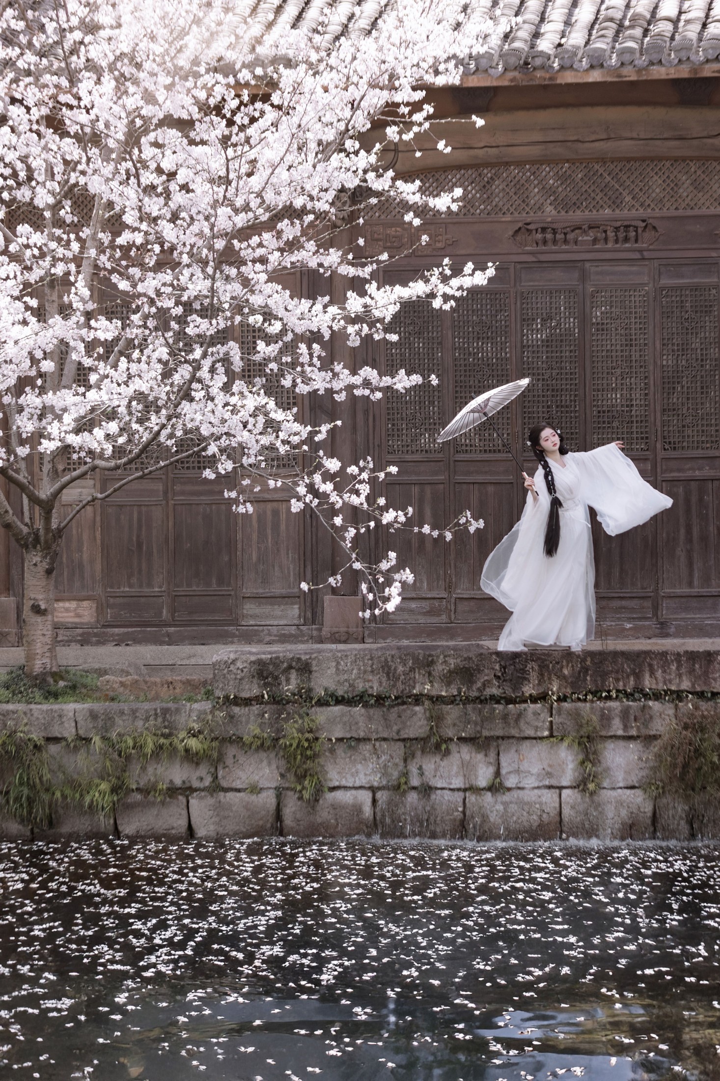 比奇堡最漂亮的女人 – 《故园赏樱》[30P]