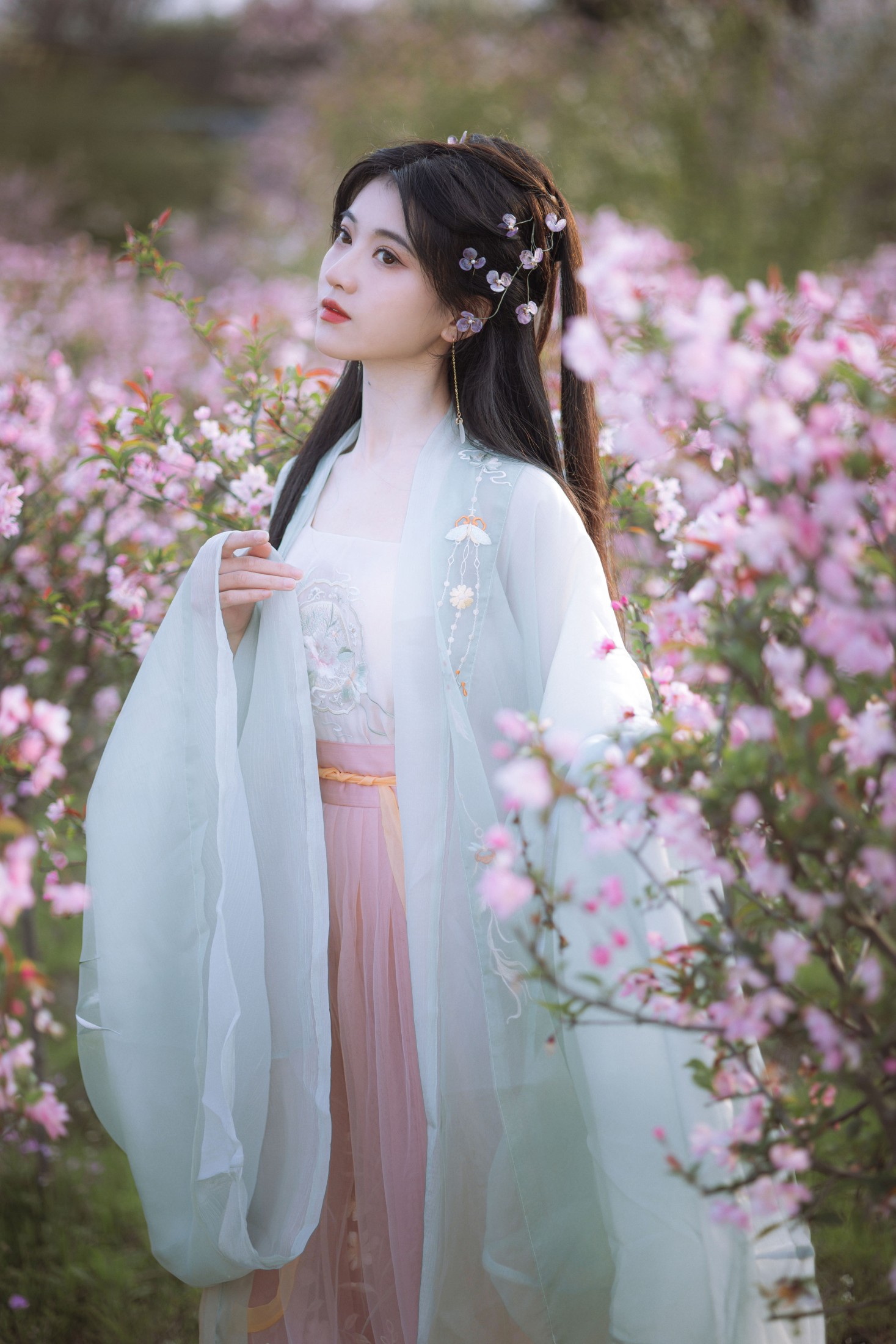 当初叫人家小田田 – 《春来时》[17P]