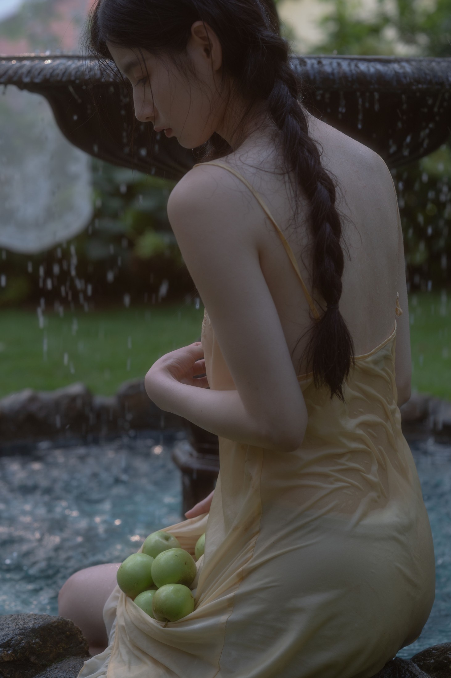 tree – 《贝拉花园》[53P]