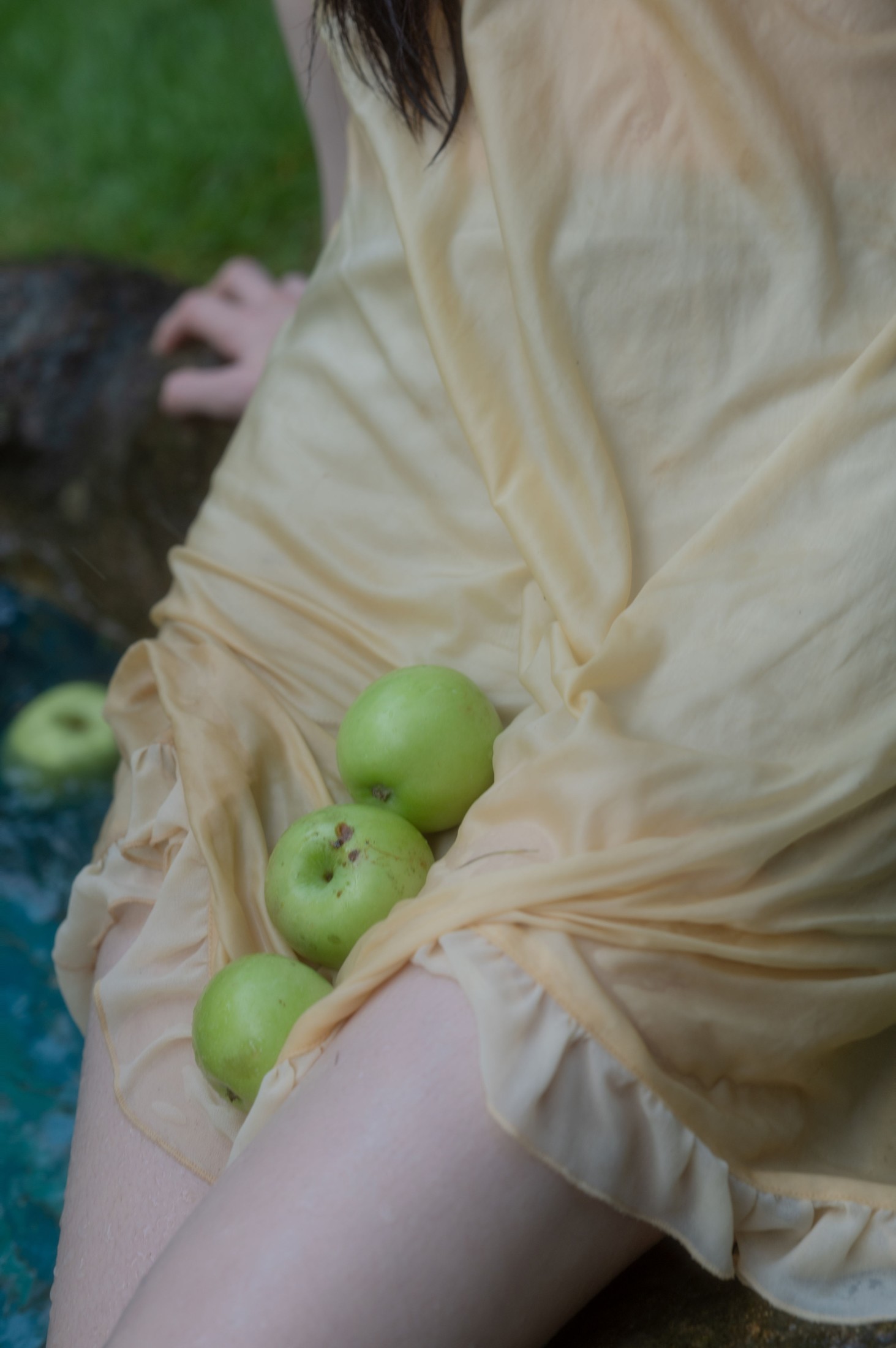 tree – 《贝拉花园》[53P]