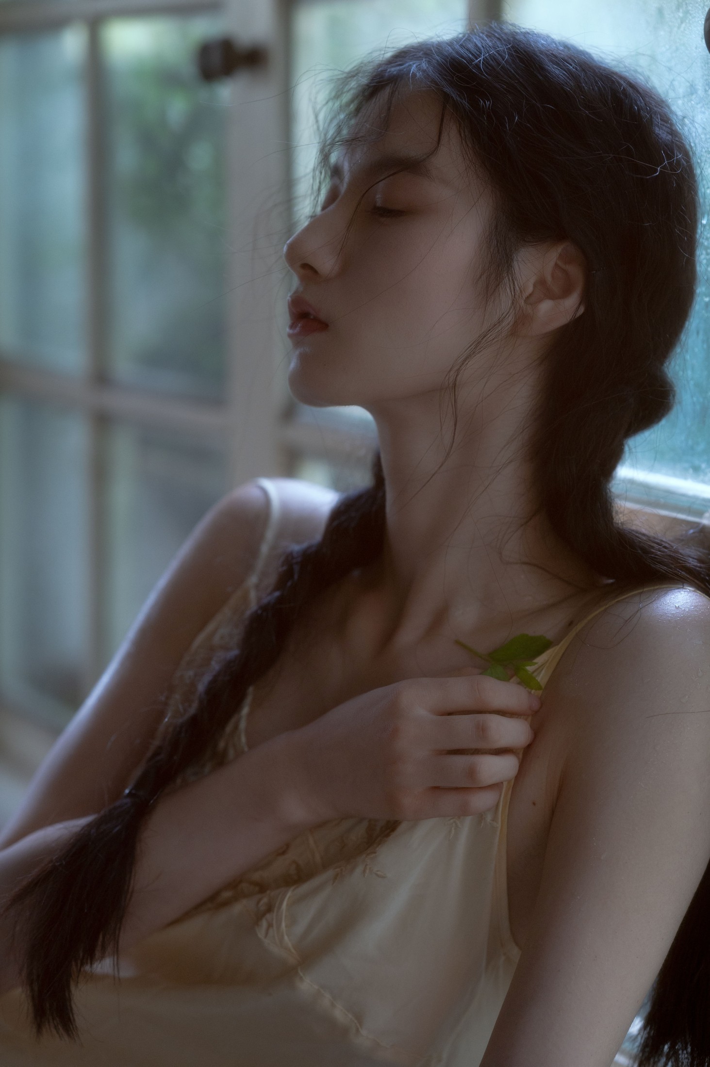 tree – 《贝拉花园》[53P]