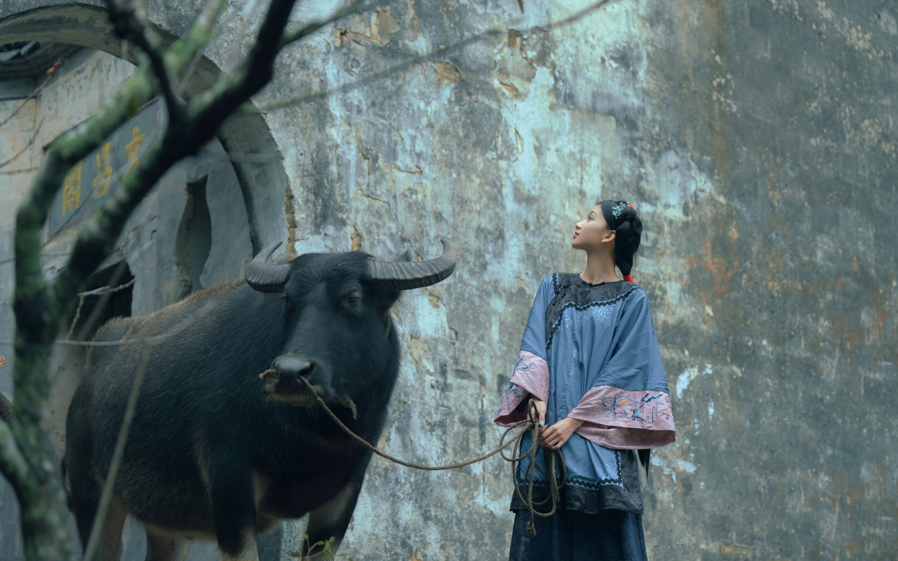 二一芝 – 《时间停在她骑着牛背的那年》[16P]