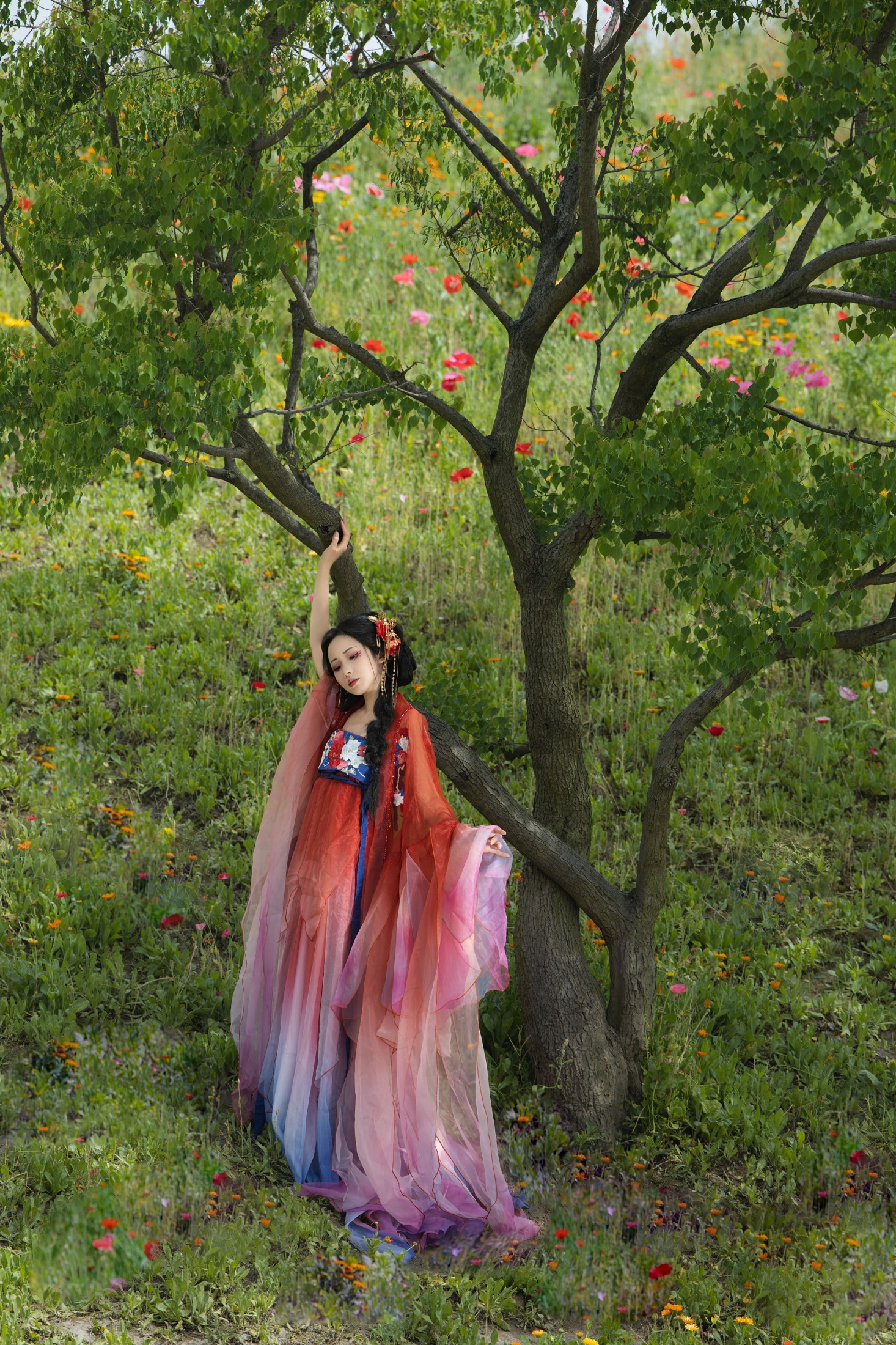 羊羊 – 《虞美人》[16P]