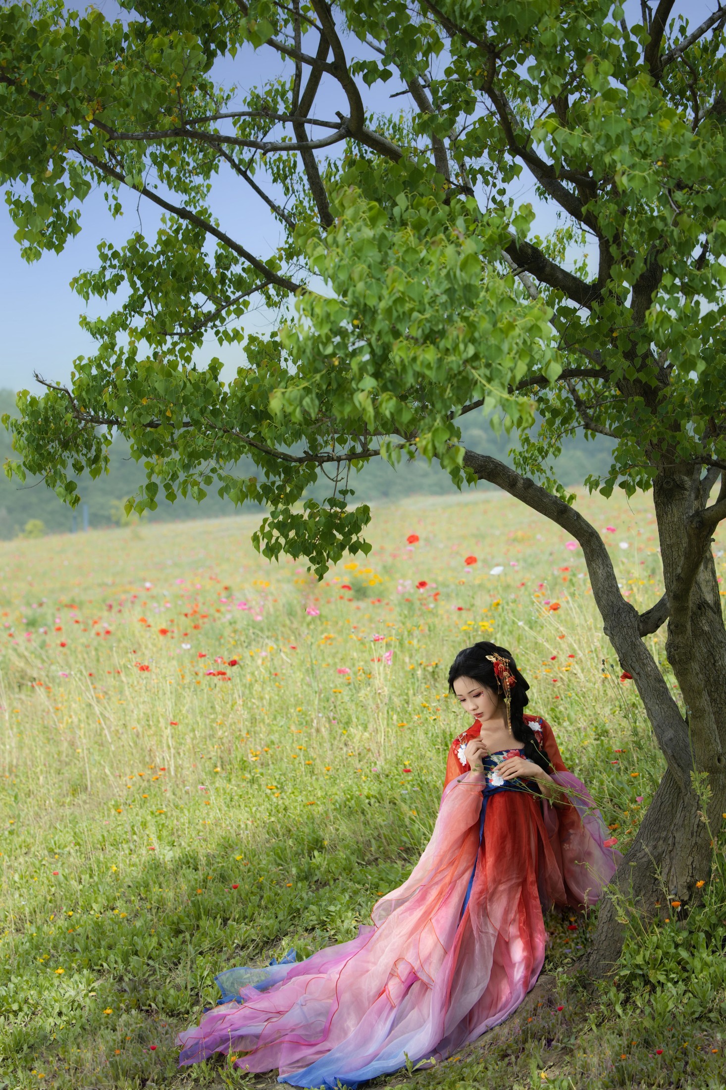 羊羊 – 《虞美人》[16P]