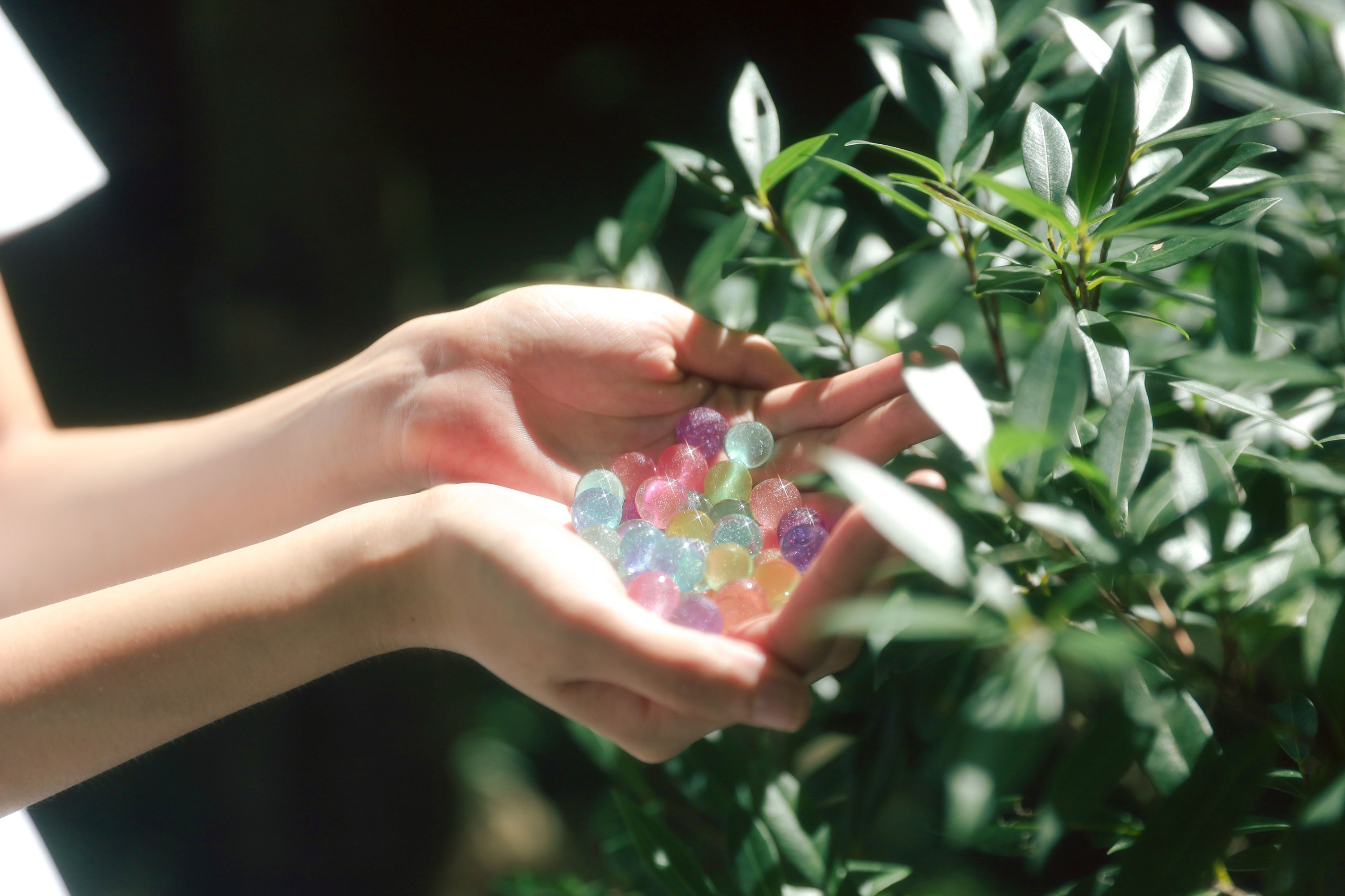 不吃拌饭 – 《编织一场旖旎的梦境》[20P]