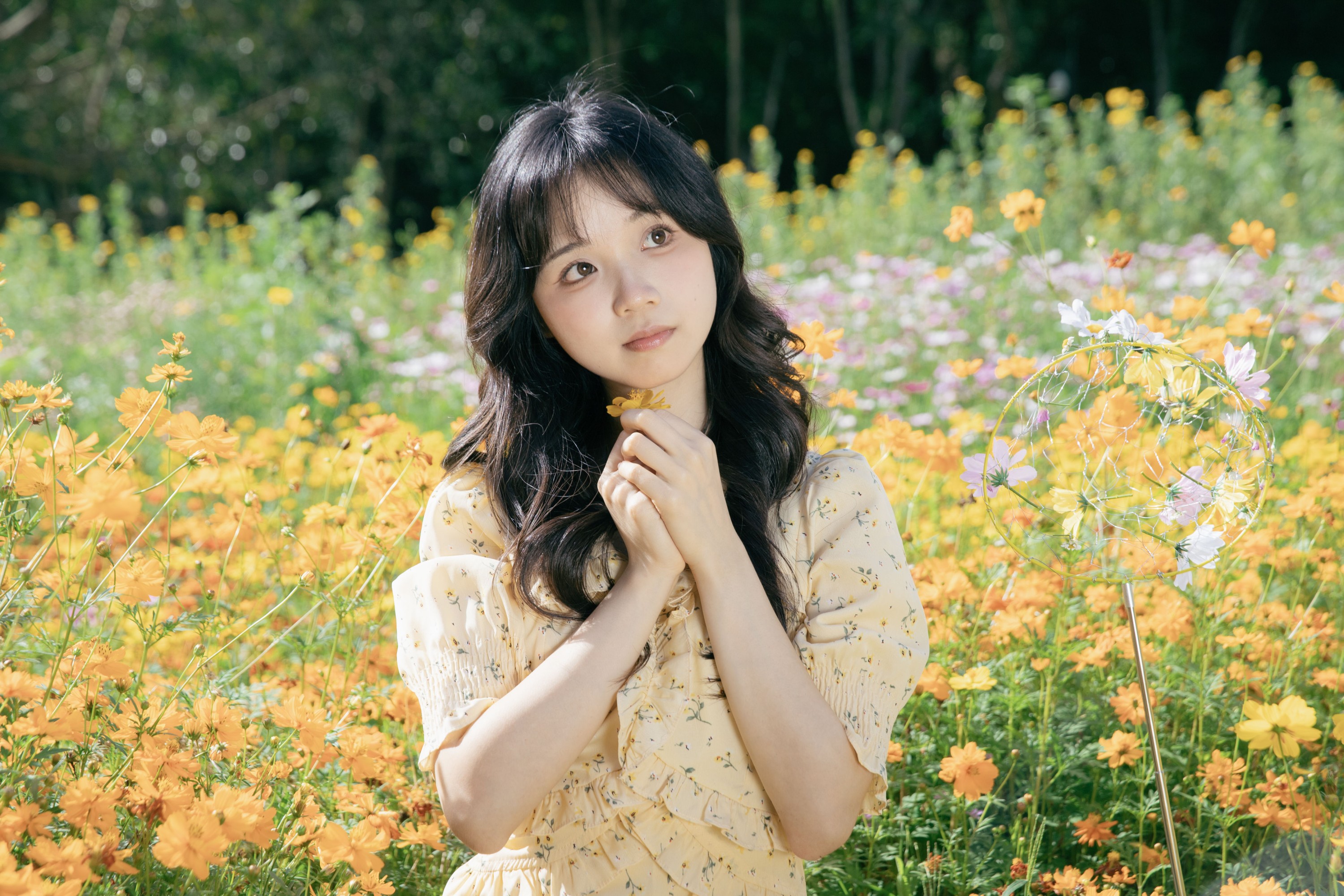 梨窝安安 – 《捕捉春天》[18P]