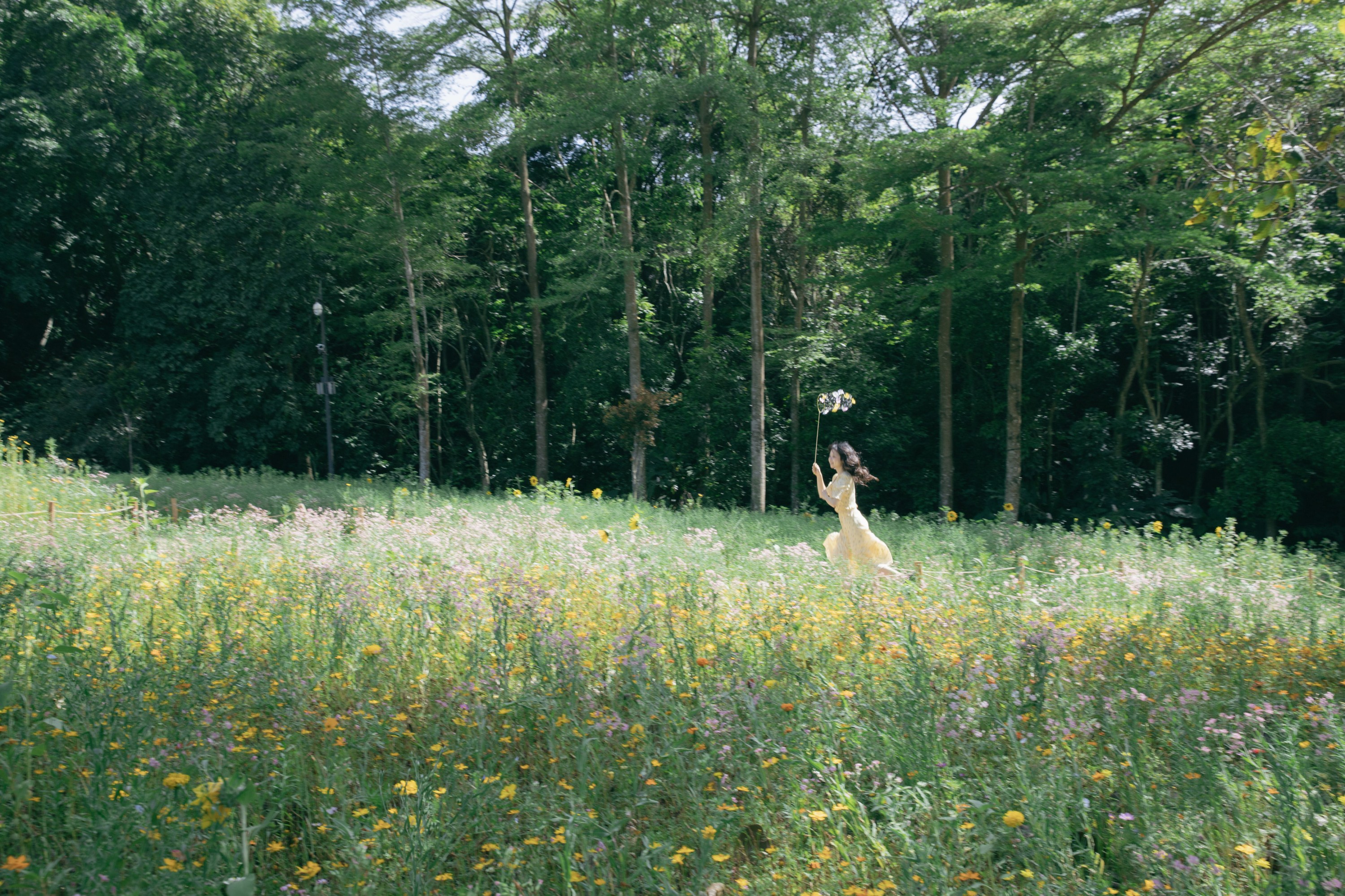 梨窝安安 – 《捕捉春天》[18P]