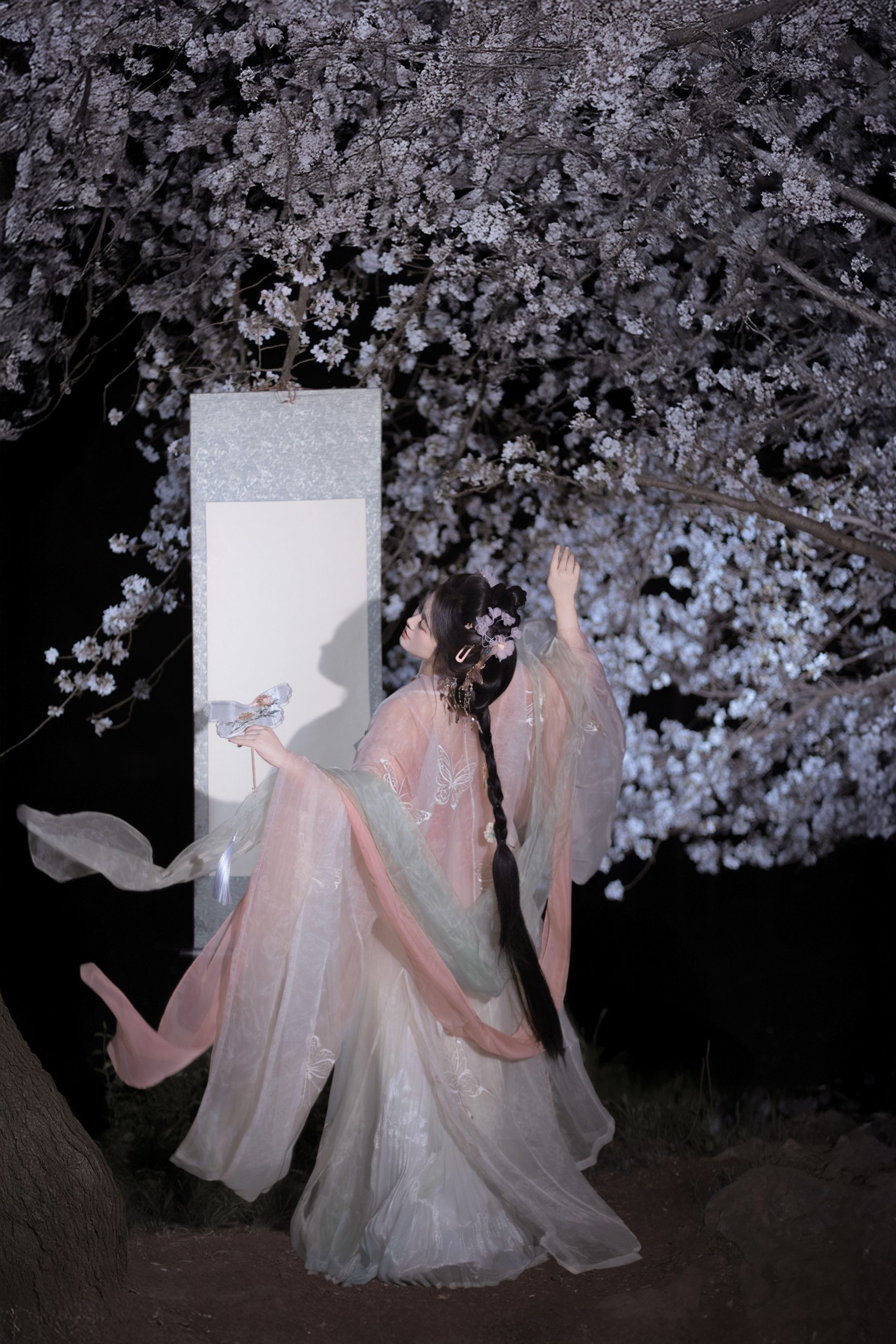 静若初夏 – 《春夜赏樱》[37P]