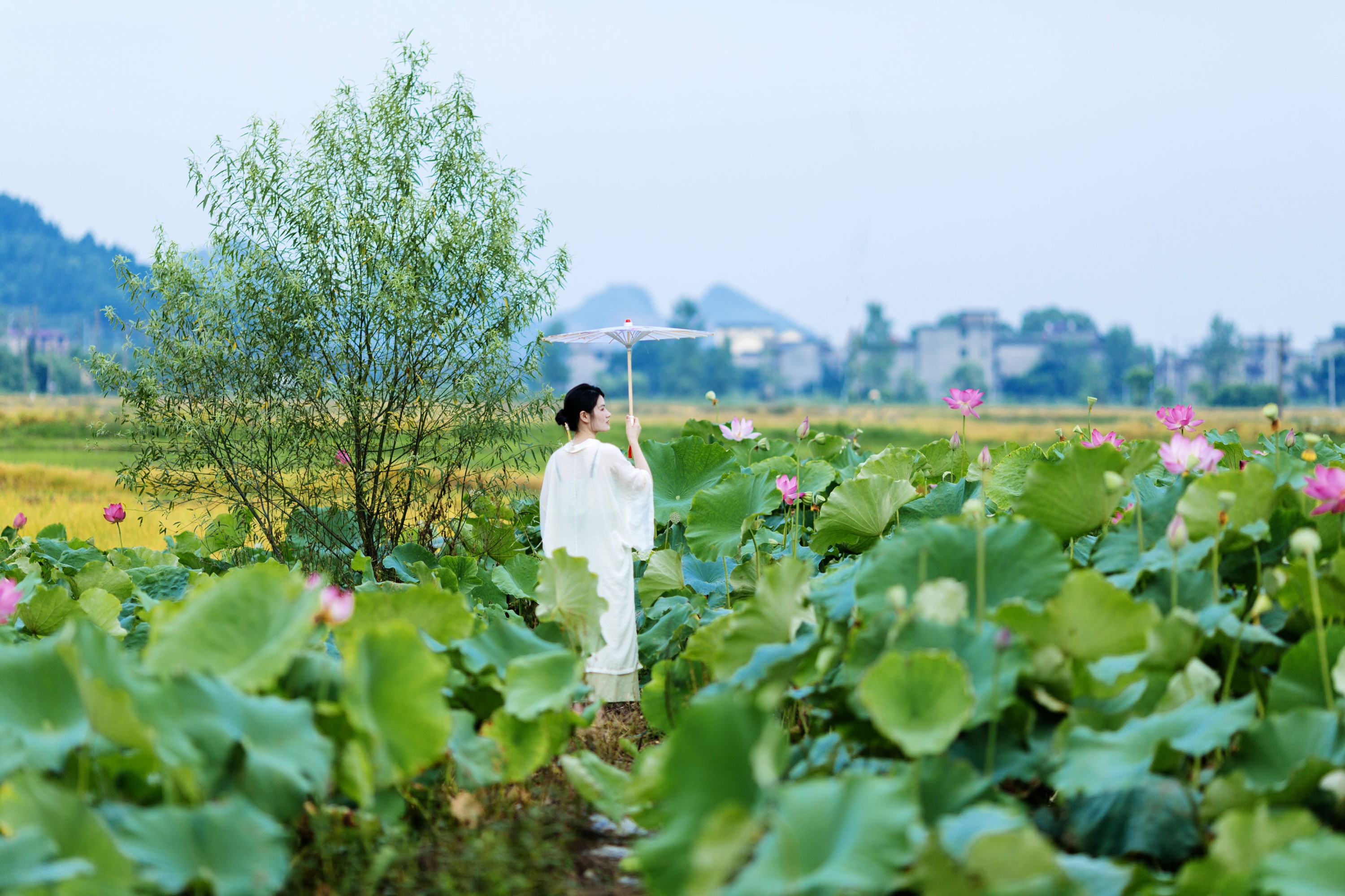 潘潘 – 《春有百花夏有荷》[14P]