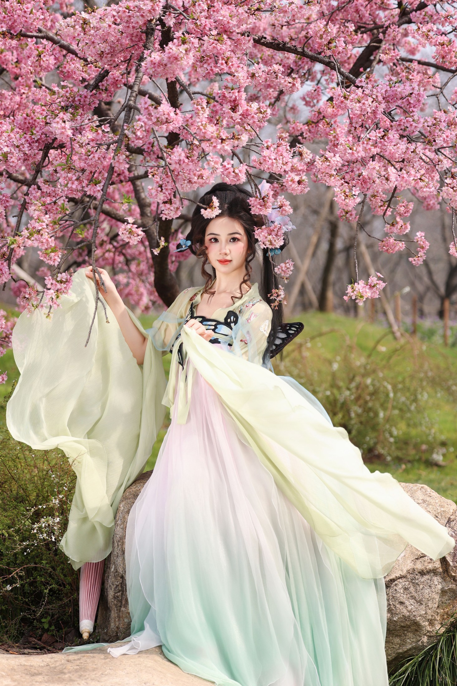 小杜同学 – 《蝴蝶梦》[26P]