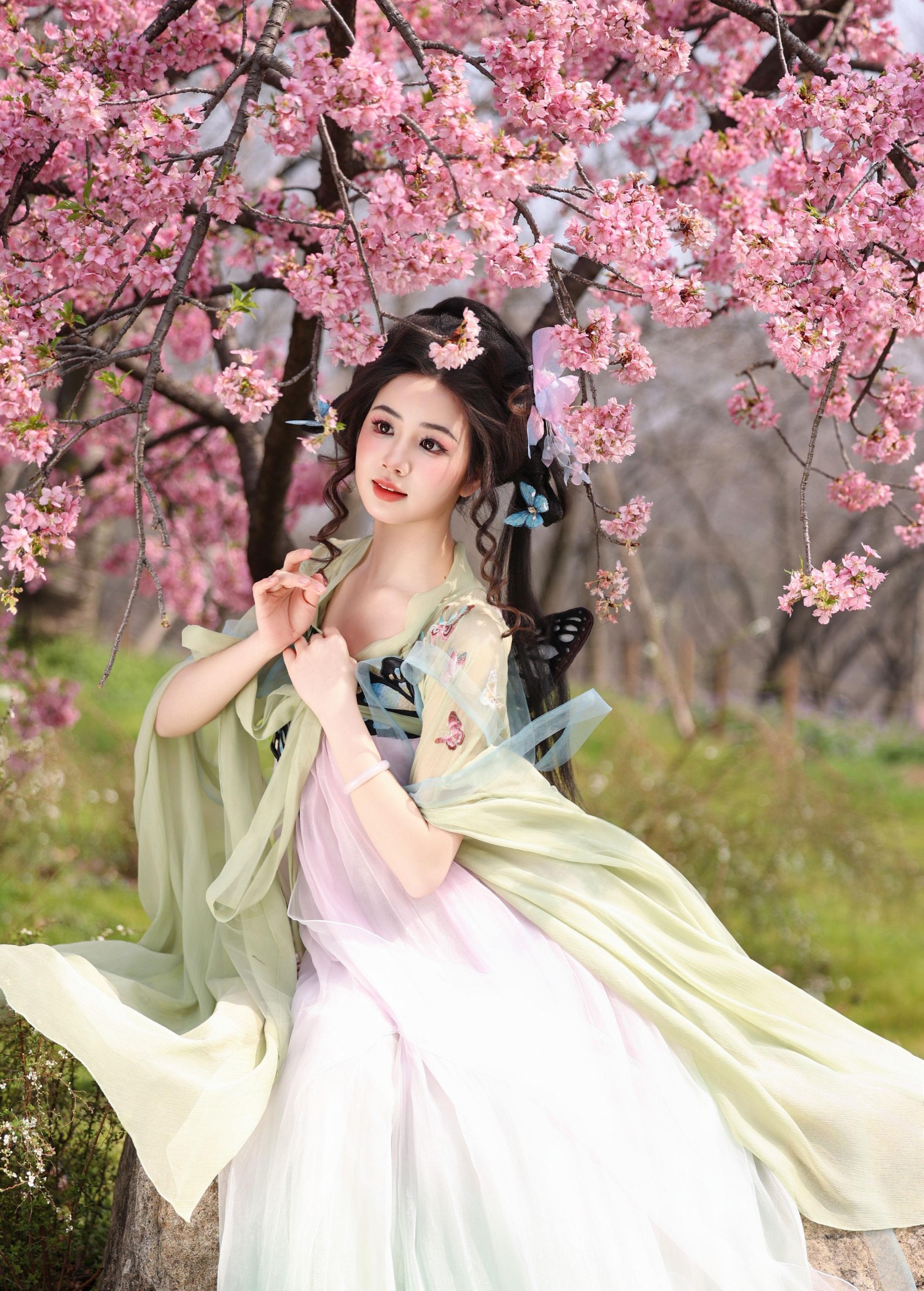 小杜同学 – 《蝴蝶梦》[26P]