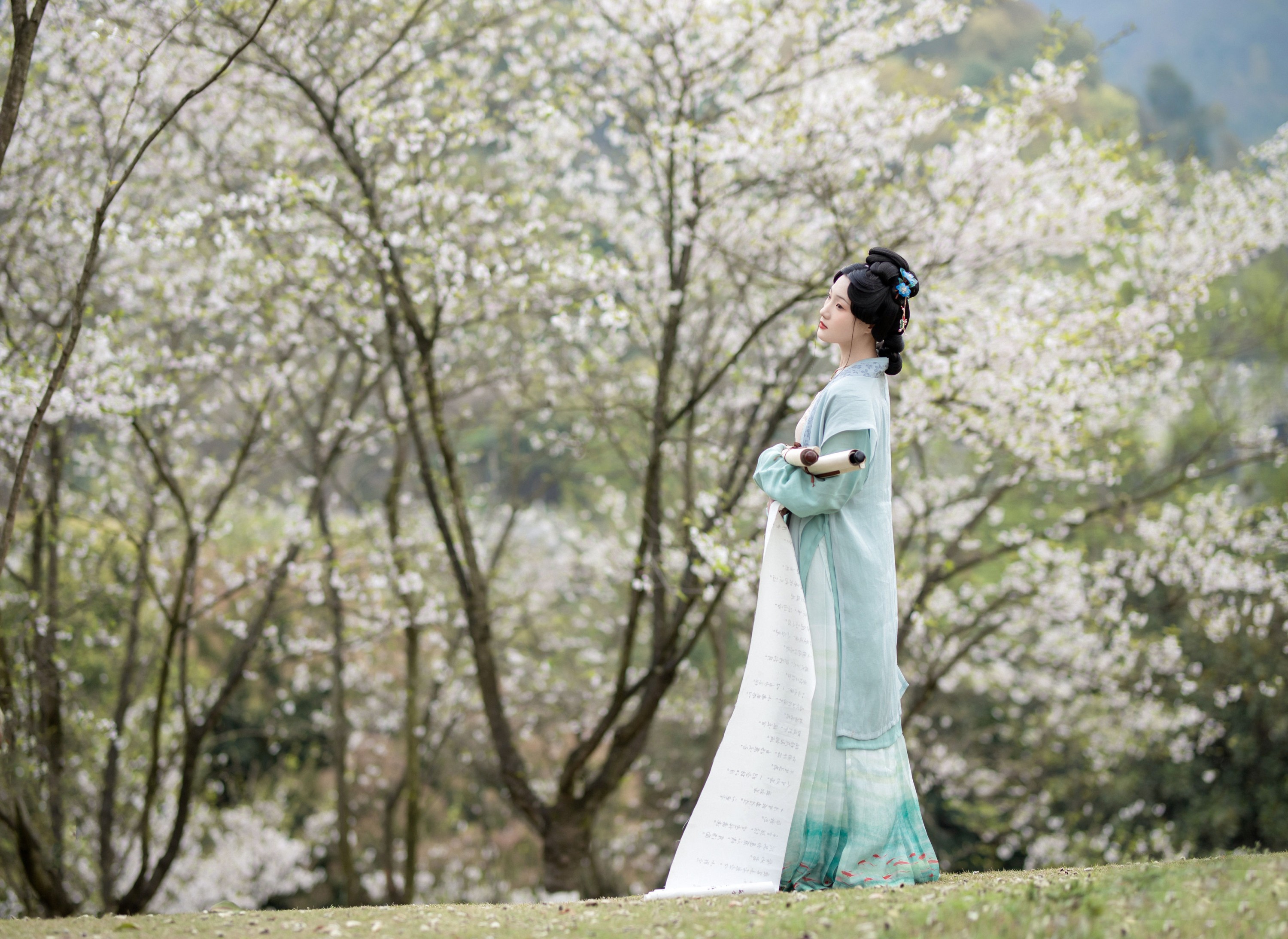 川川 – 《落樱拂素衣》[13P]