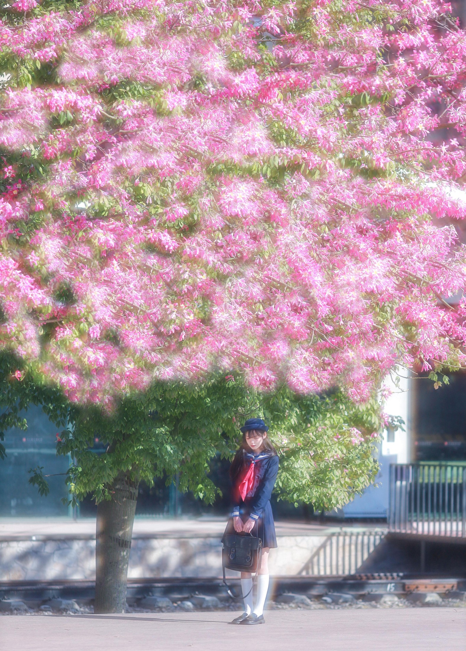 Fish-Lam – 《像漫画里的场景》[18P]